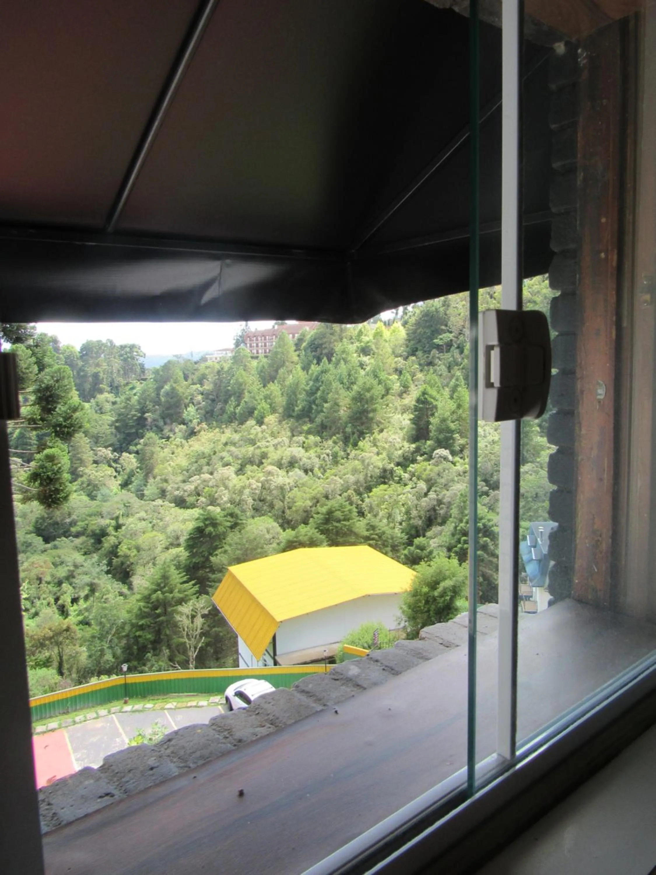 Golden Forest Pousada