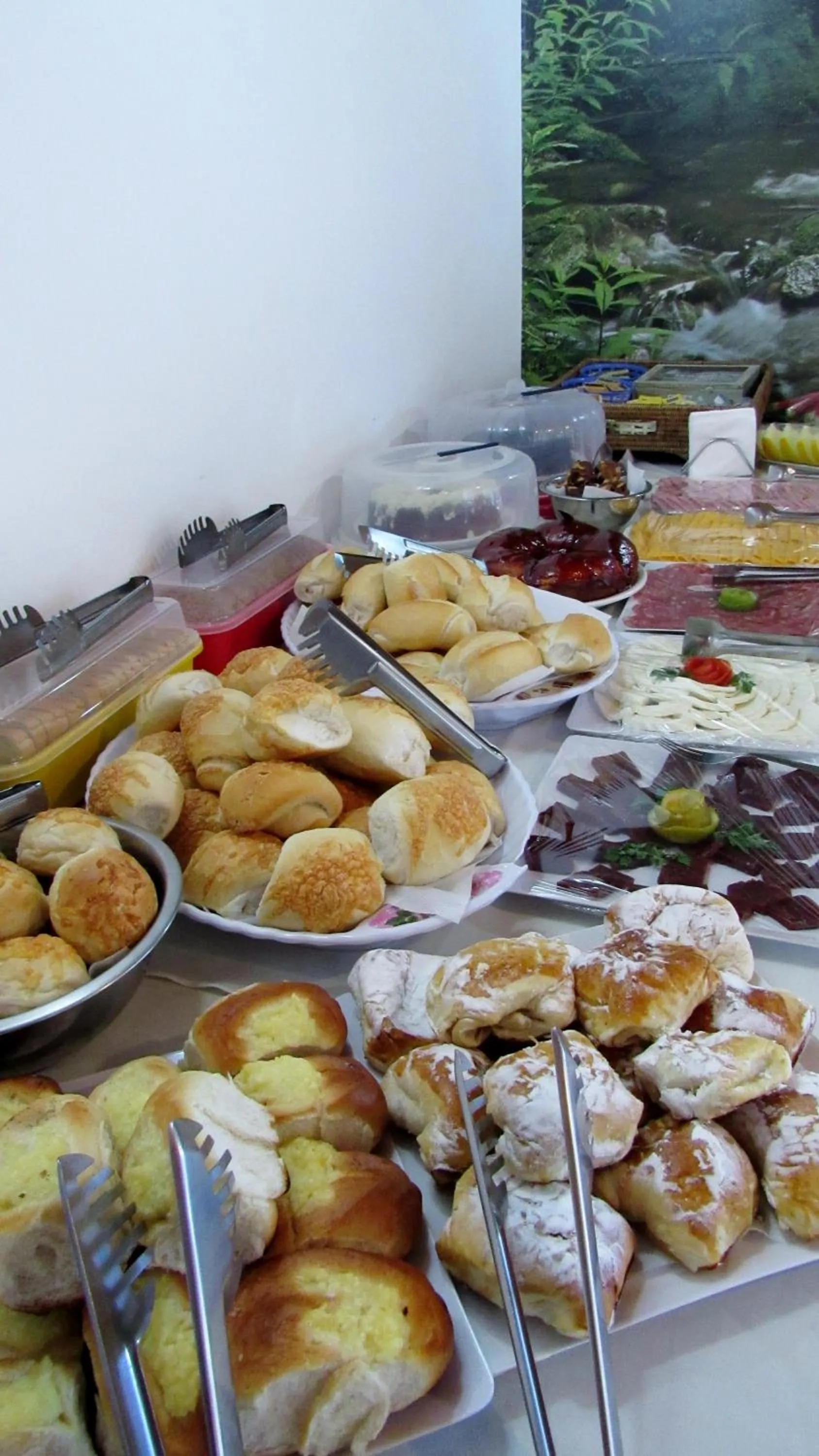 Business facilities in Golden Forest Pousada