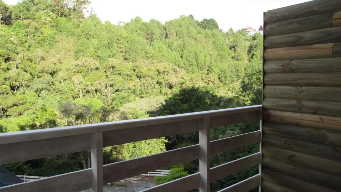 Golden Forest Pousada