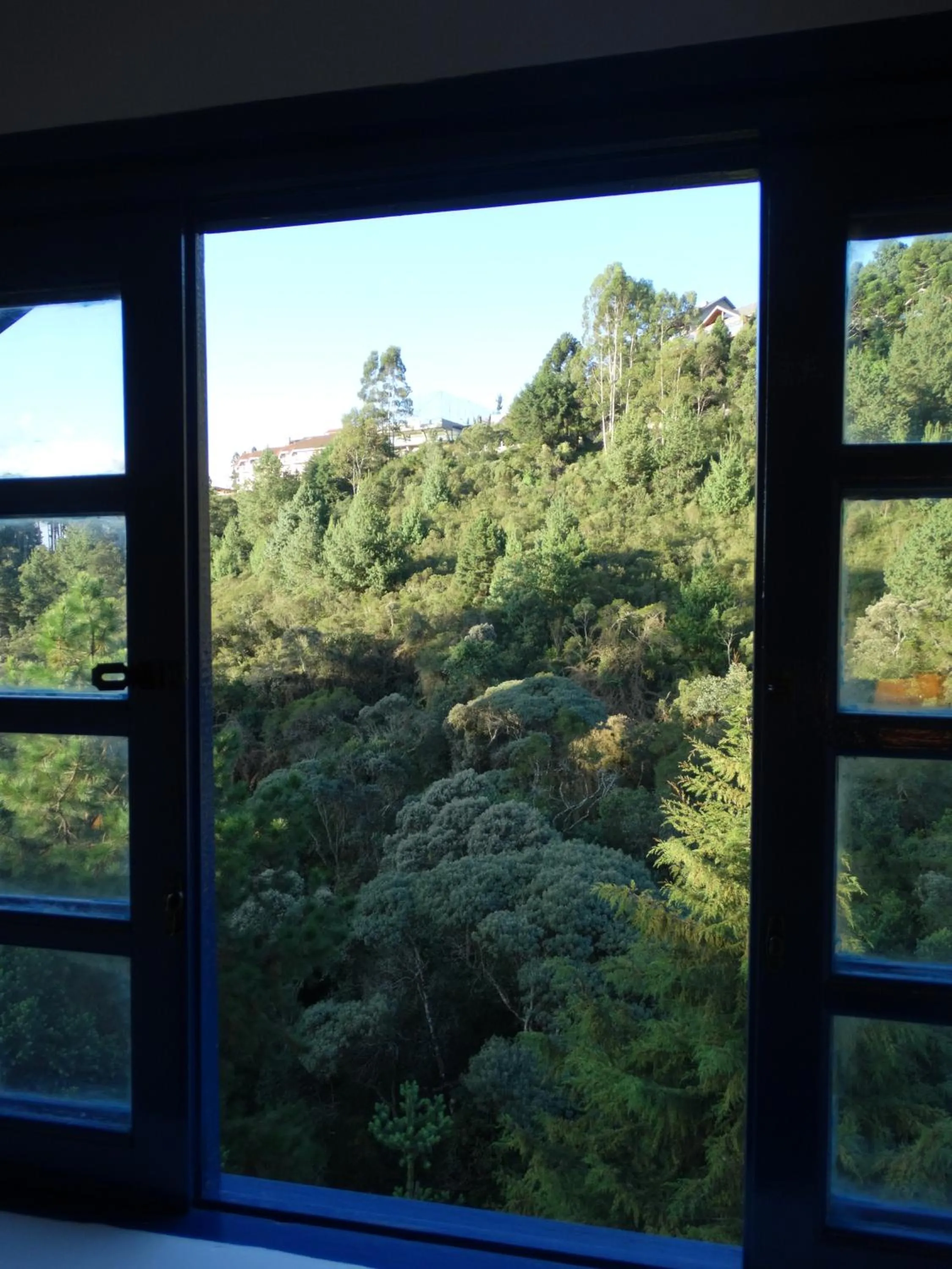 Golden Forest Pousada