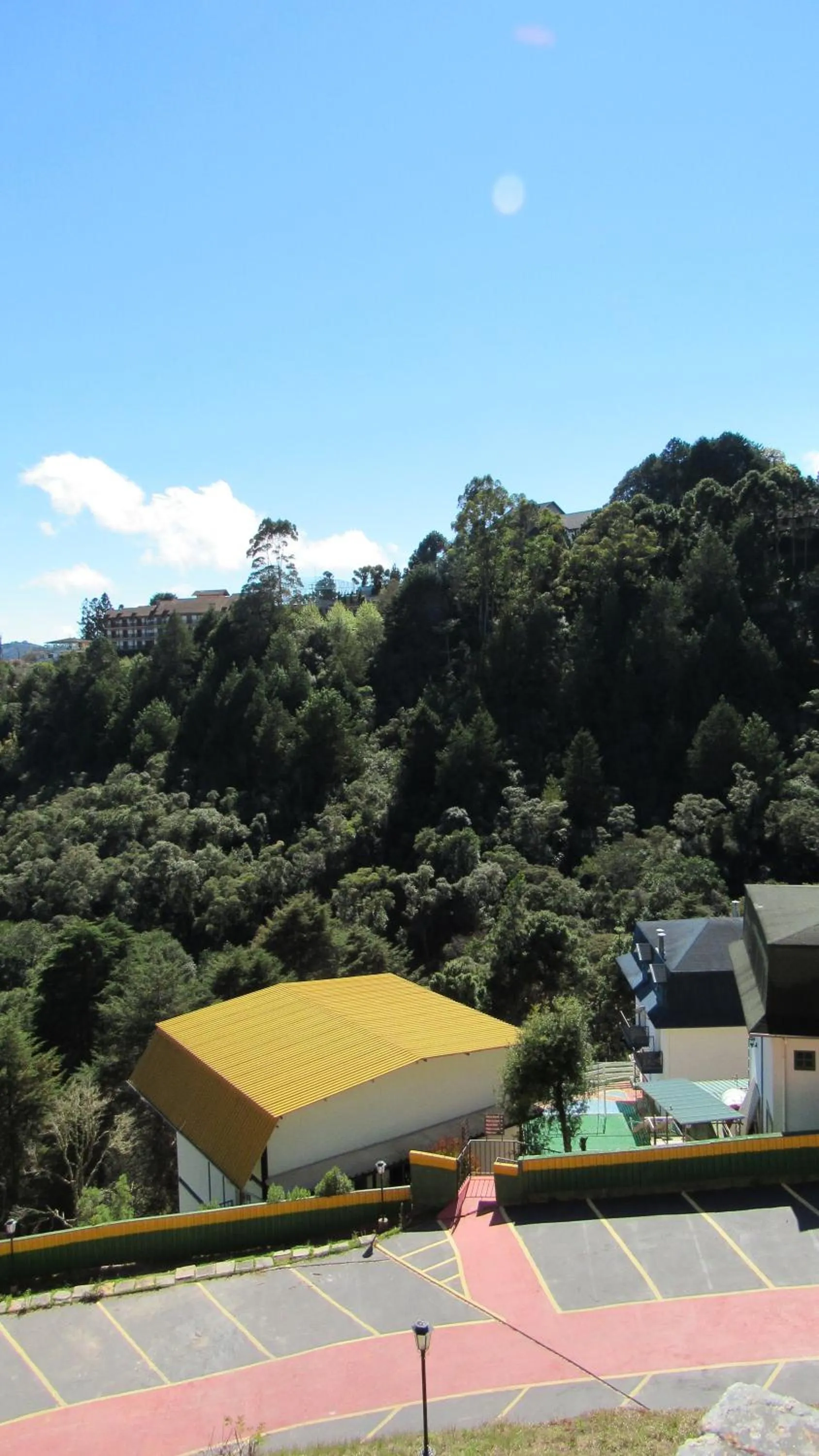 Golden Forest Pousada