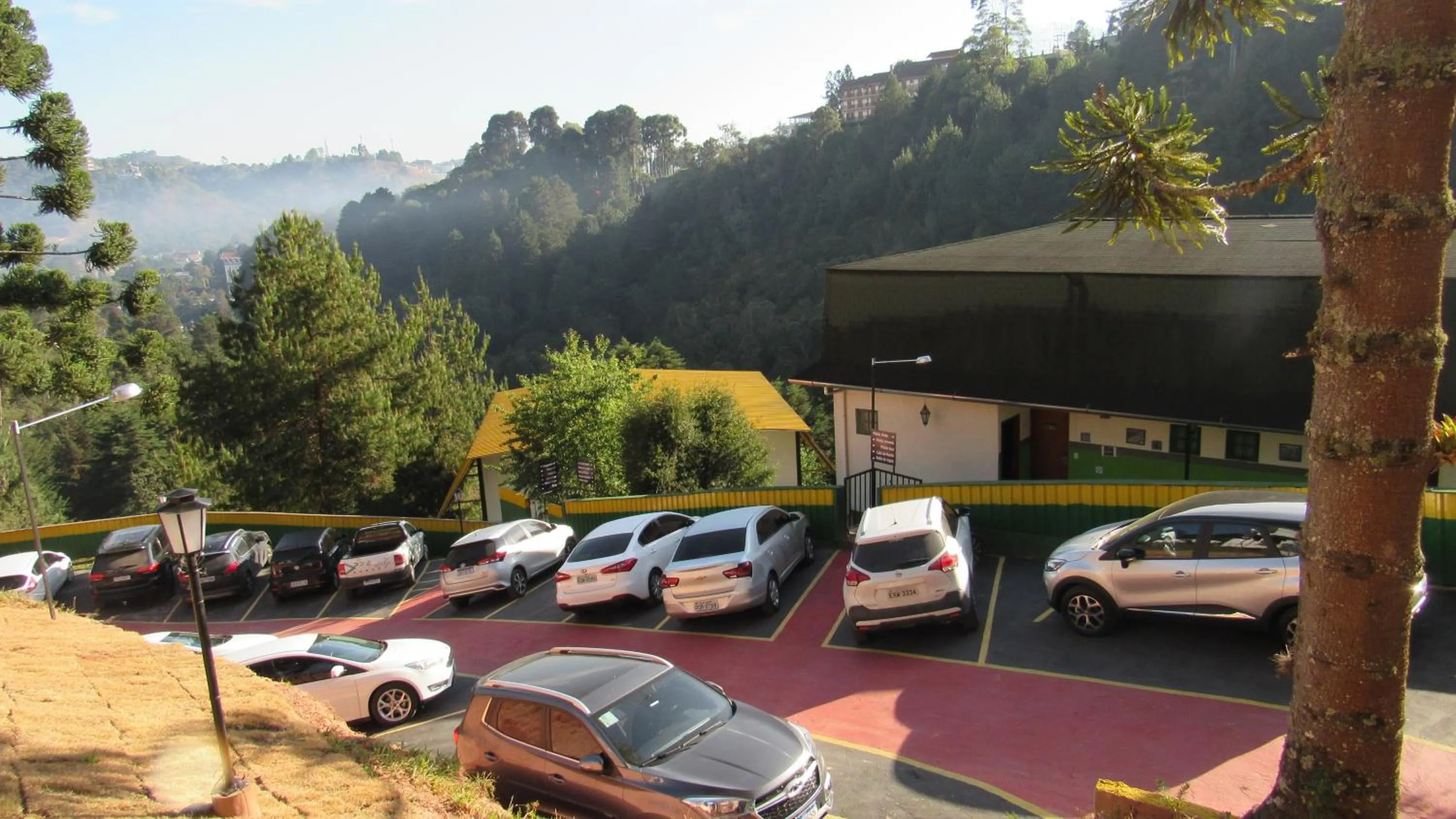 Golden Forest Pousada