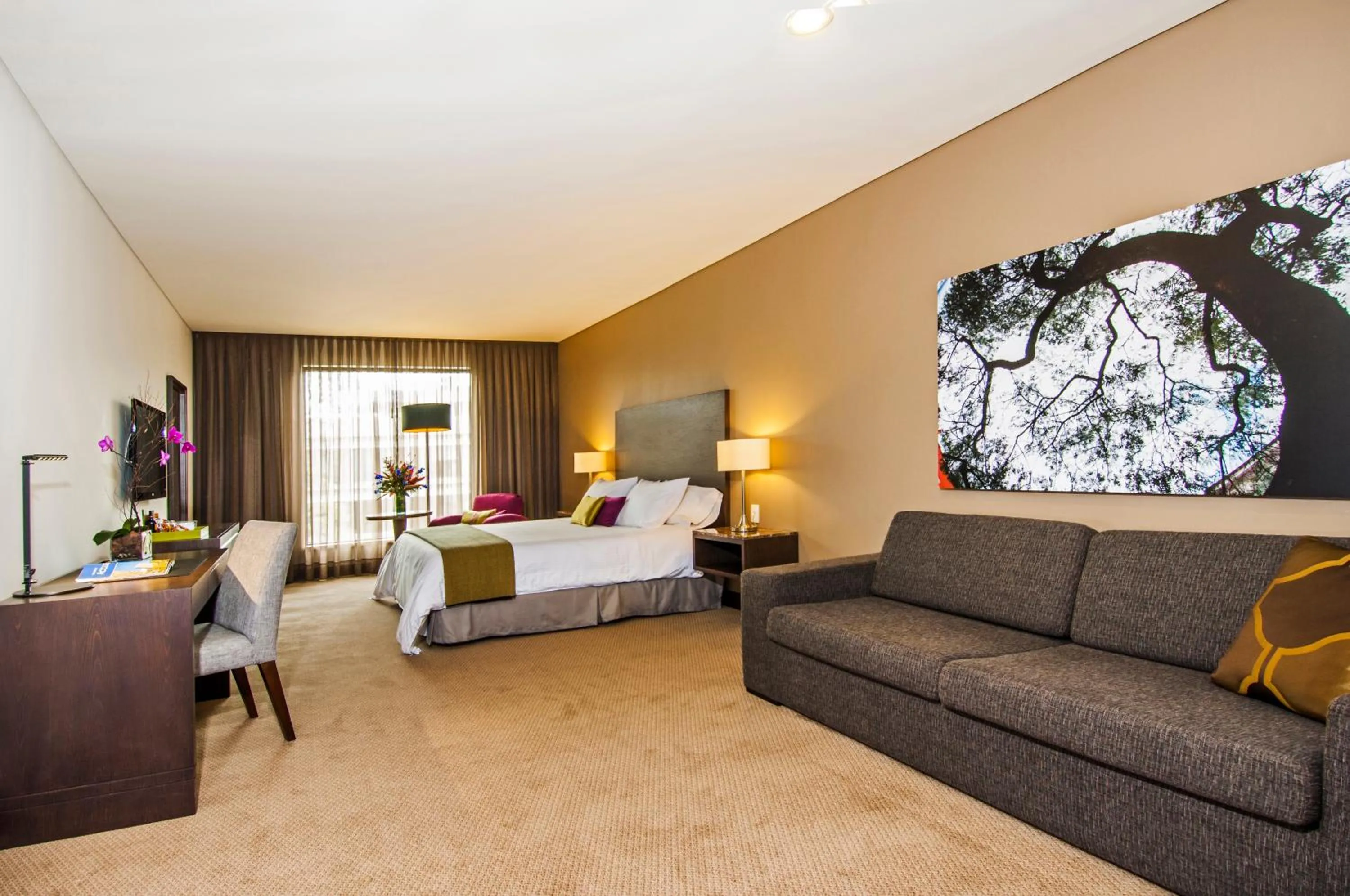 Photo of the whole room, Bed in Hotel Morrison Usaquén