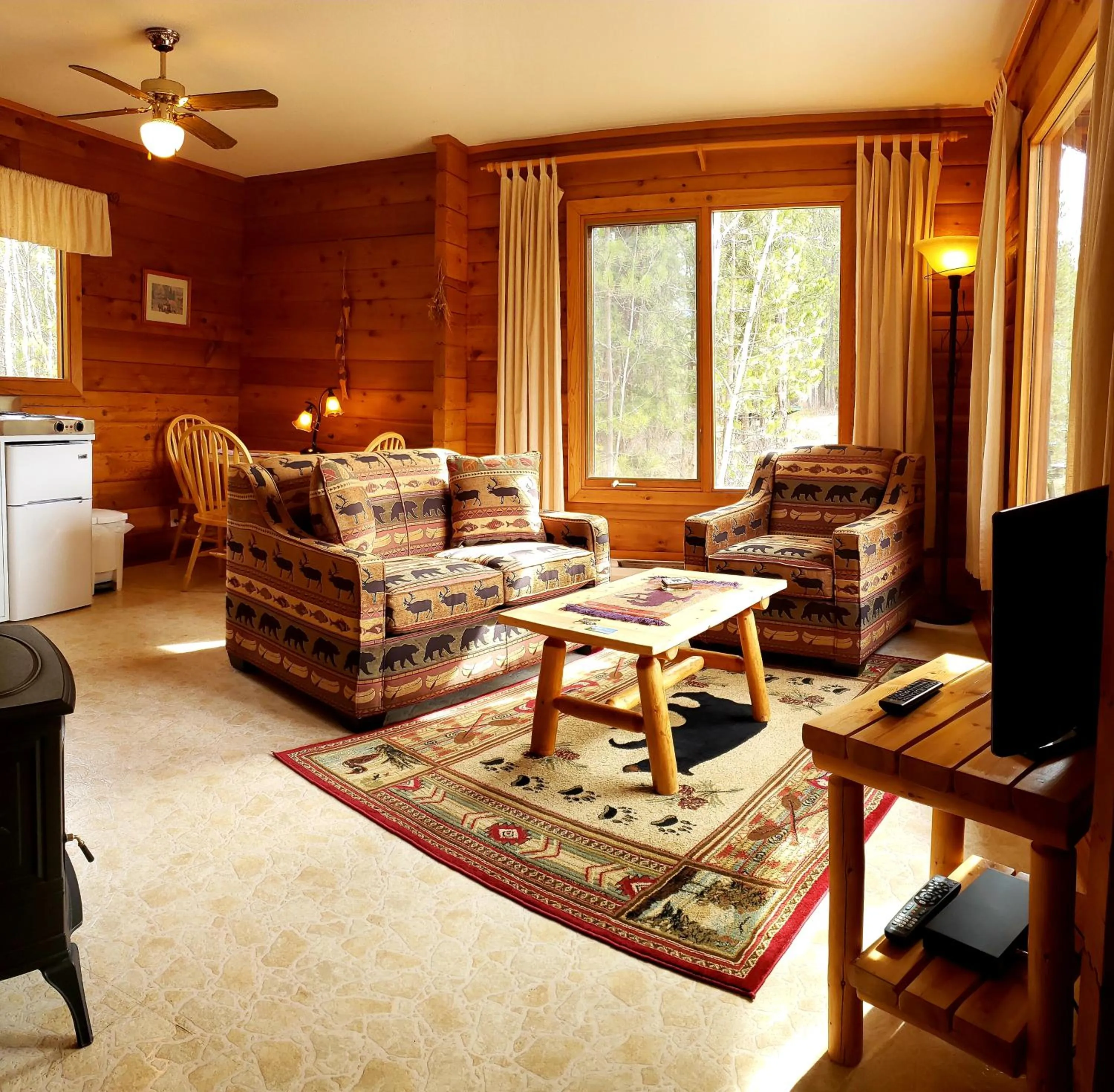 Living room in Mica Mountain Lodge & Log Cabins