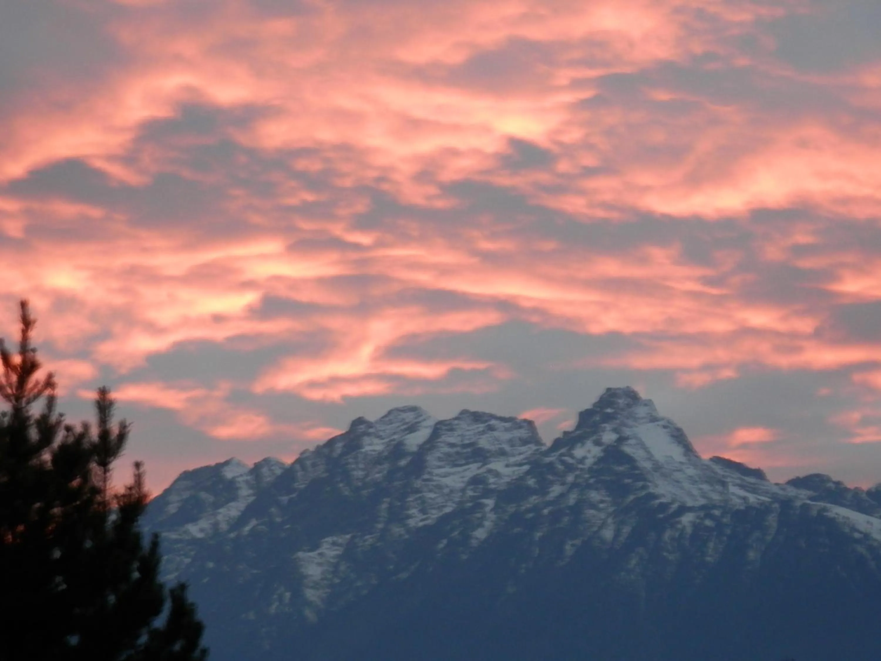 Natural landscape in Mica Mountain Lodge & Log Cabins