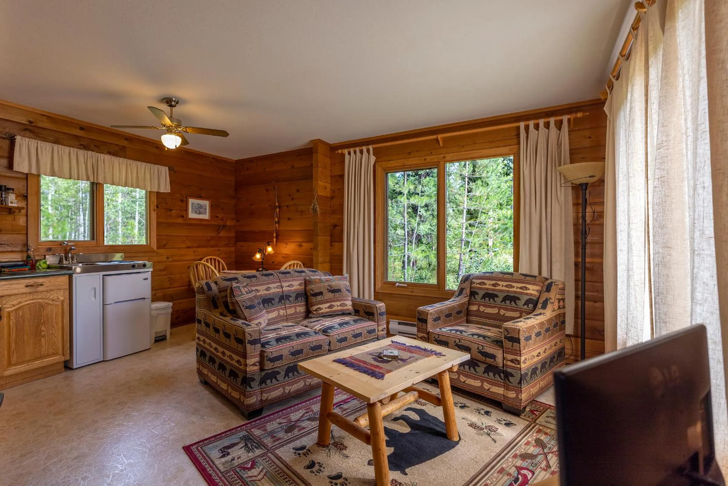 Living room in Mica Mountain Lodge & Log Cabins