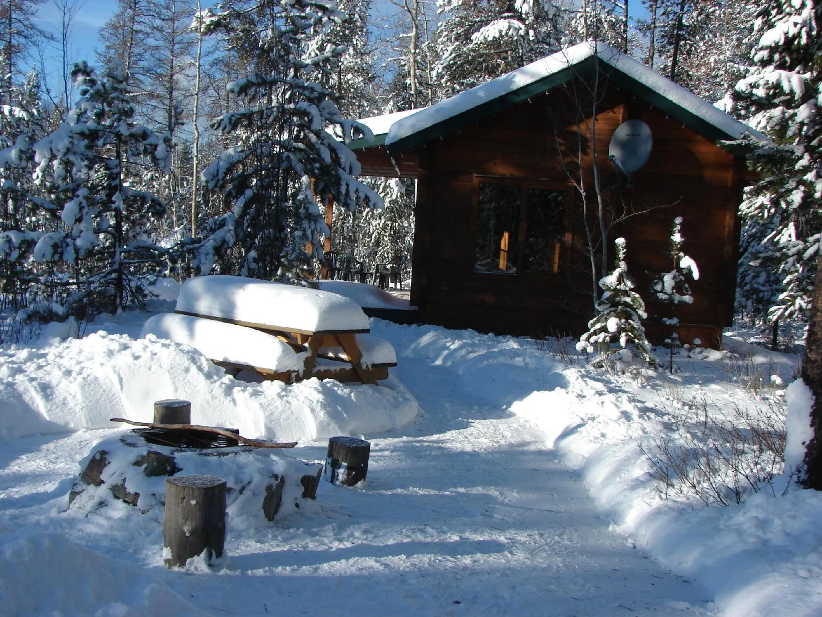 Property building in Mica Mountain Lodge & Log Cabins