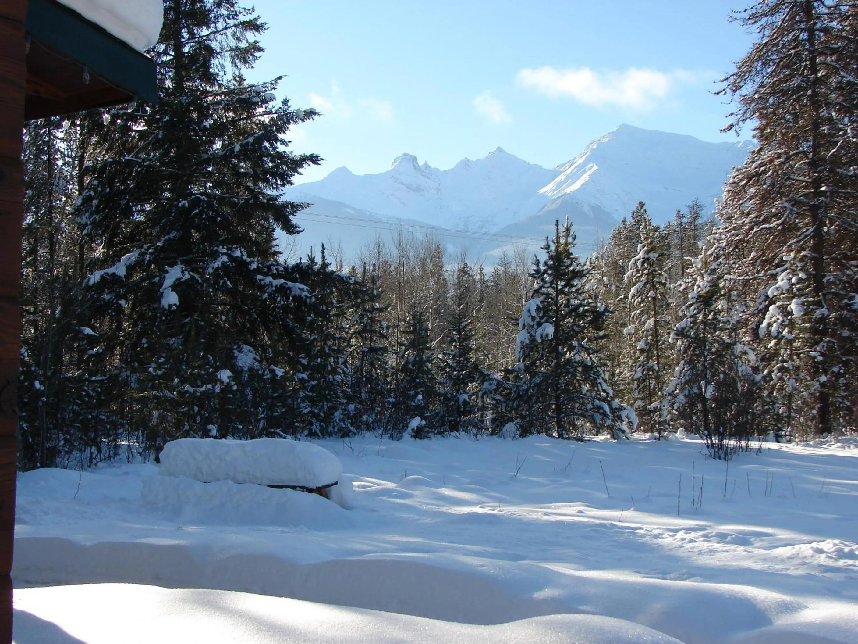 Natural landscape in Mica Mountain Lodge & Log Cabins