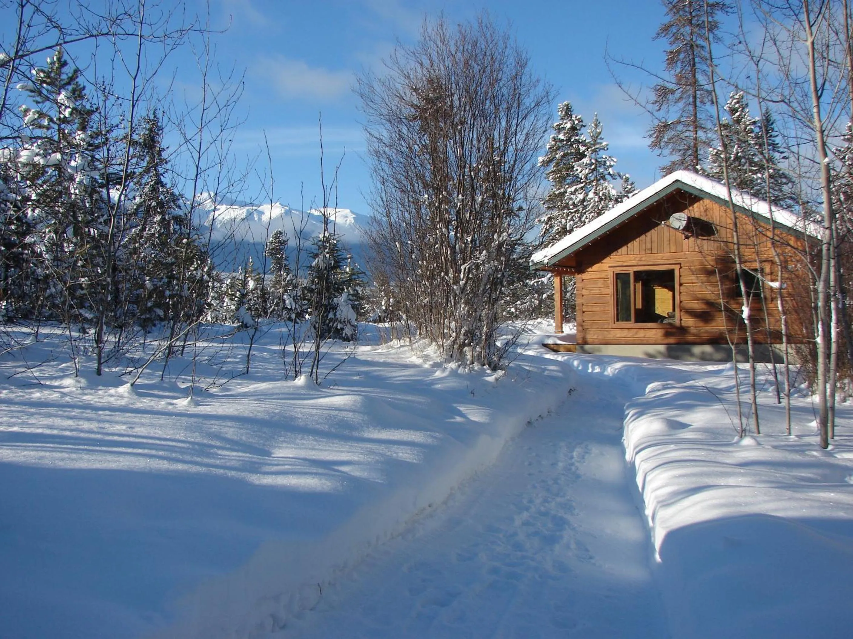 Photo of the whole room in Mica Mountain Lodge & Log Cabins