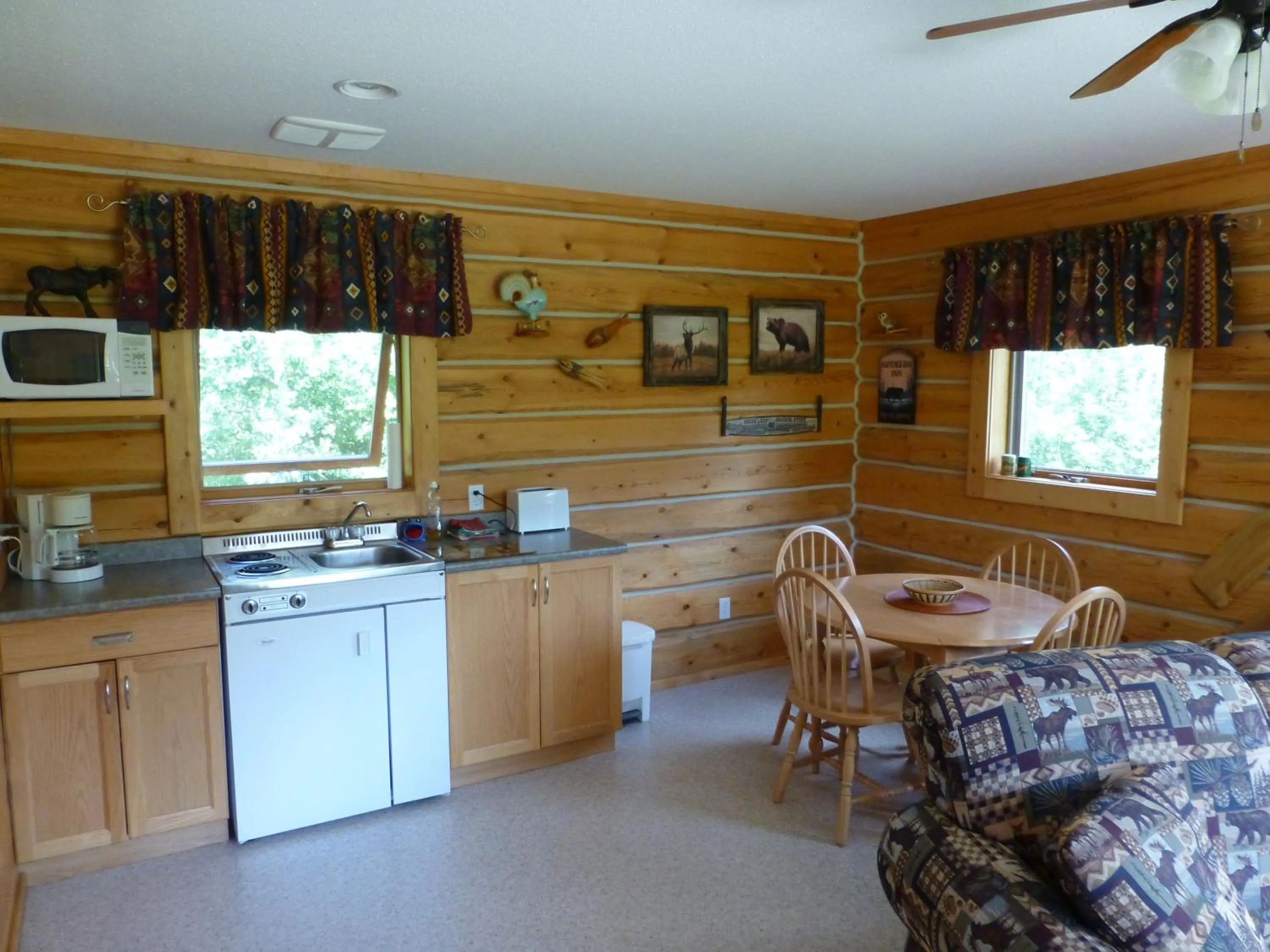 Kitchen or kitchenette in Mica Mountain Lodge & Log Cabins