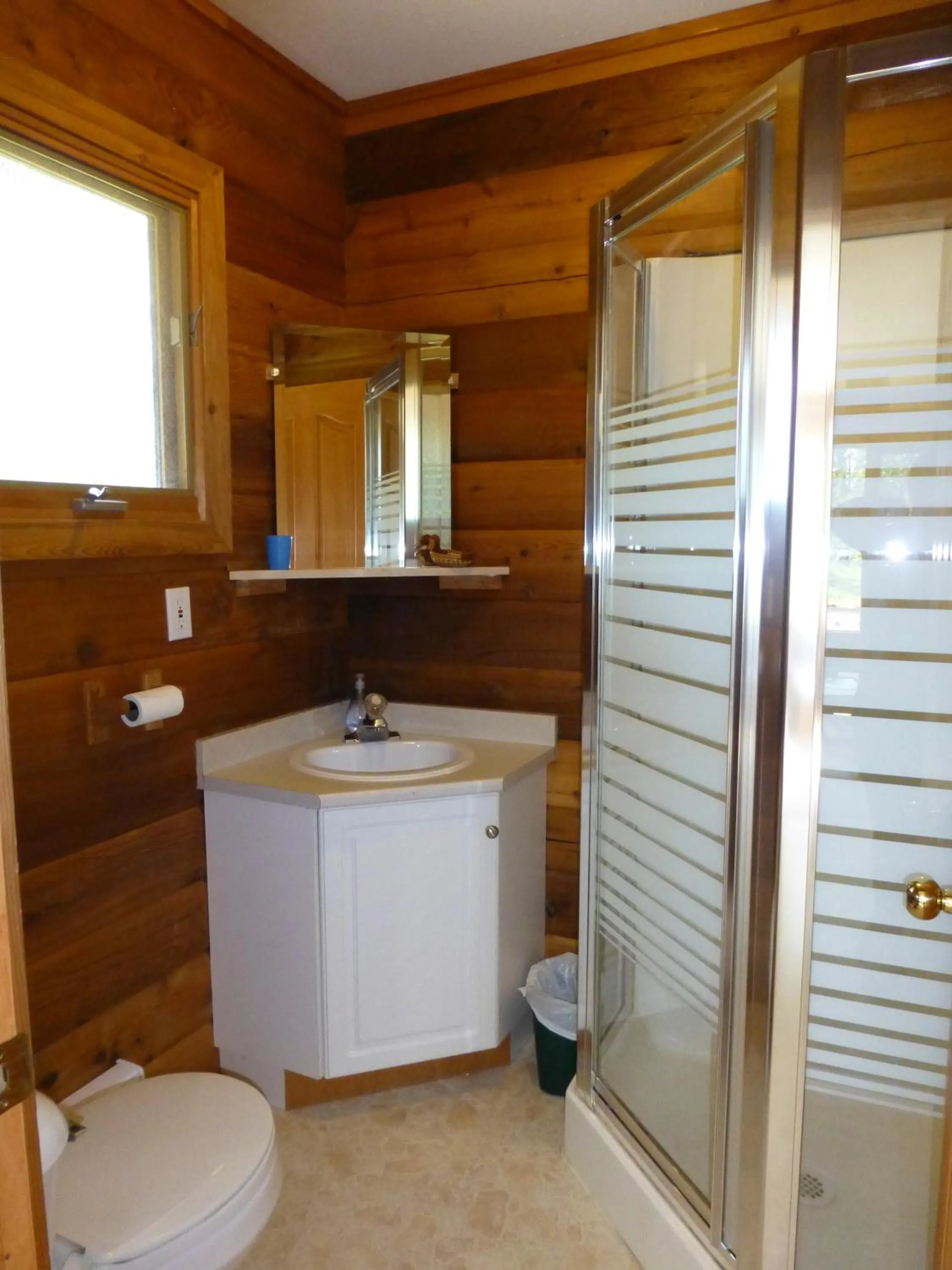 Bathroom in Mica Mountain Lodge & Log Cabins