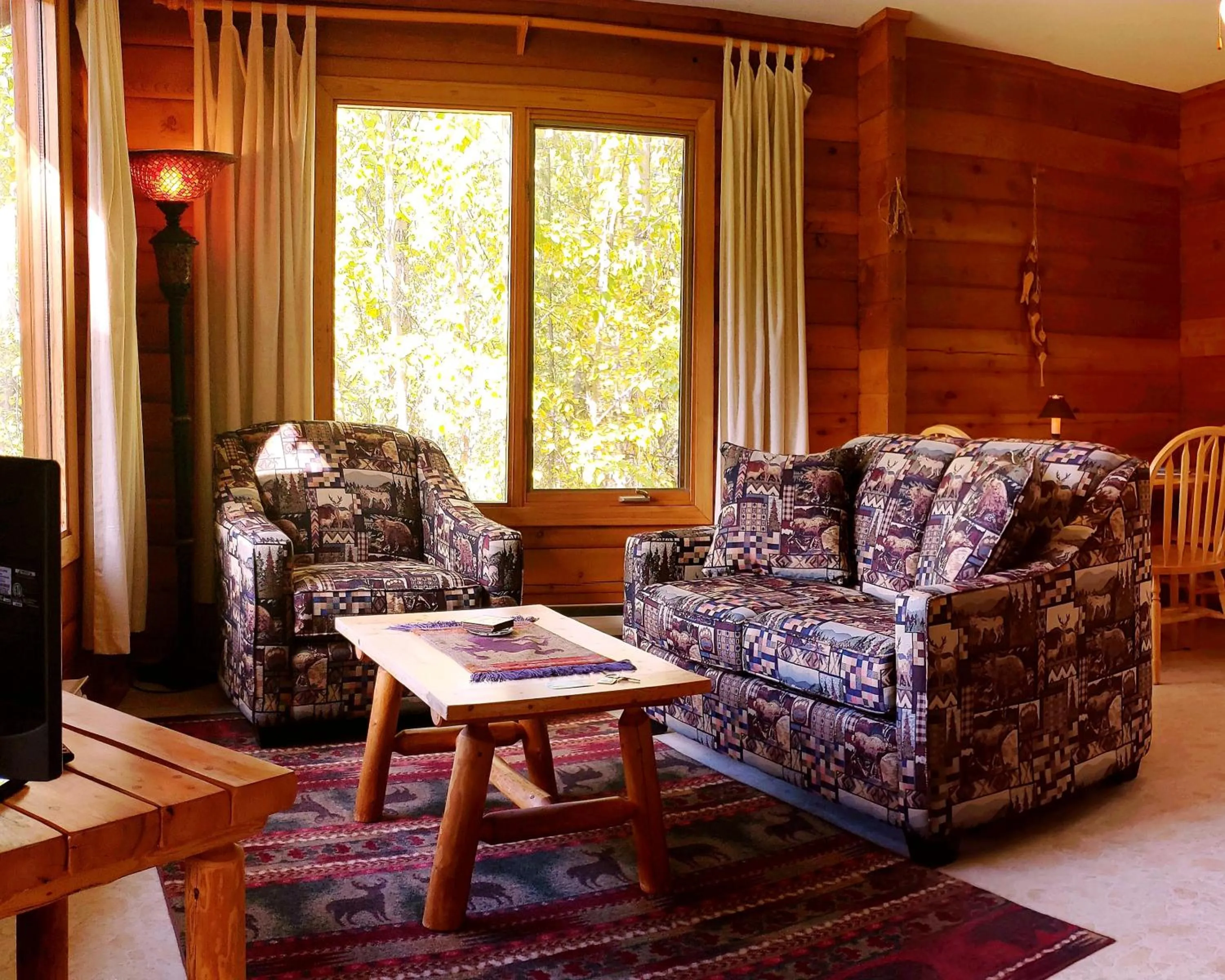 Living room in Mica Mountain Lodge & Log Cabins