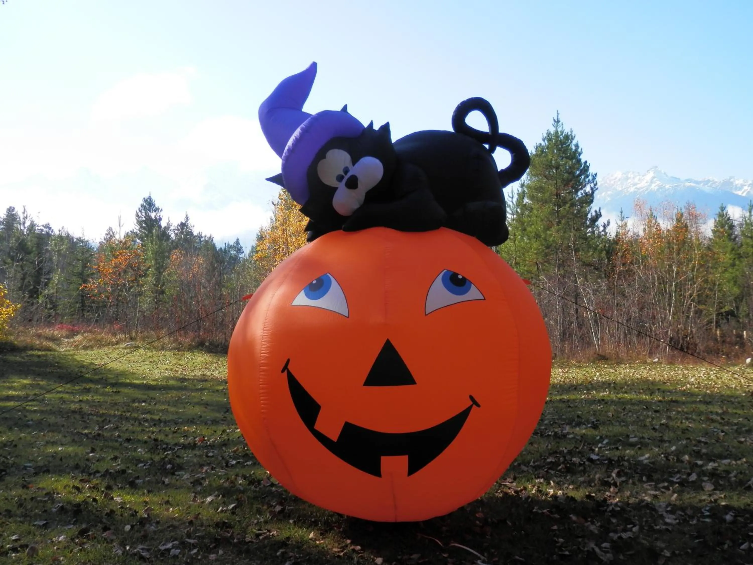 Garden in Mica Mountain Lodge & Log Cabins