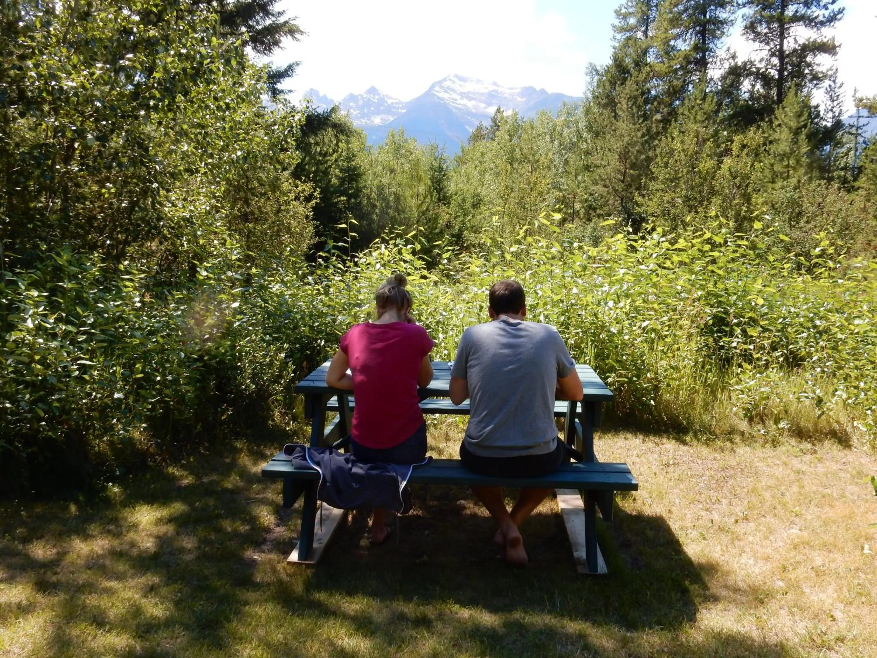 Garden in Mica Mountain Lodge & Log Cabins