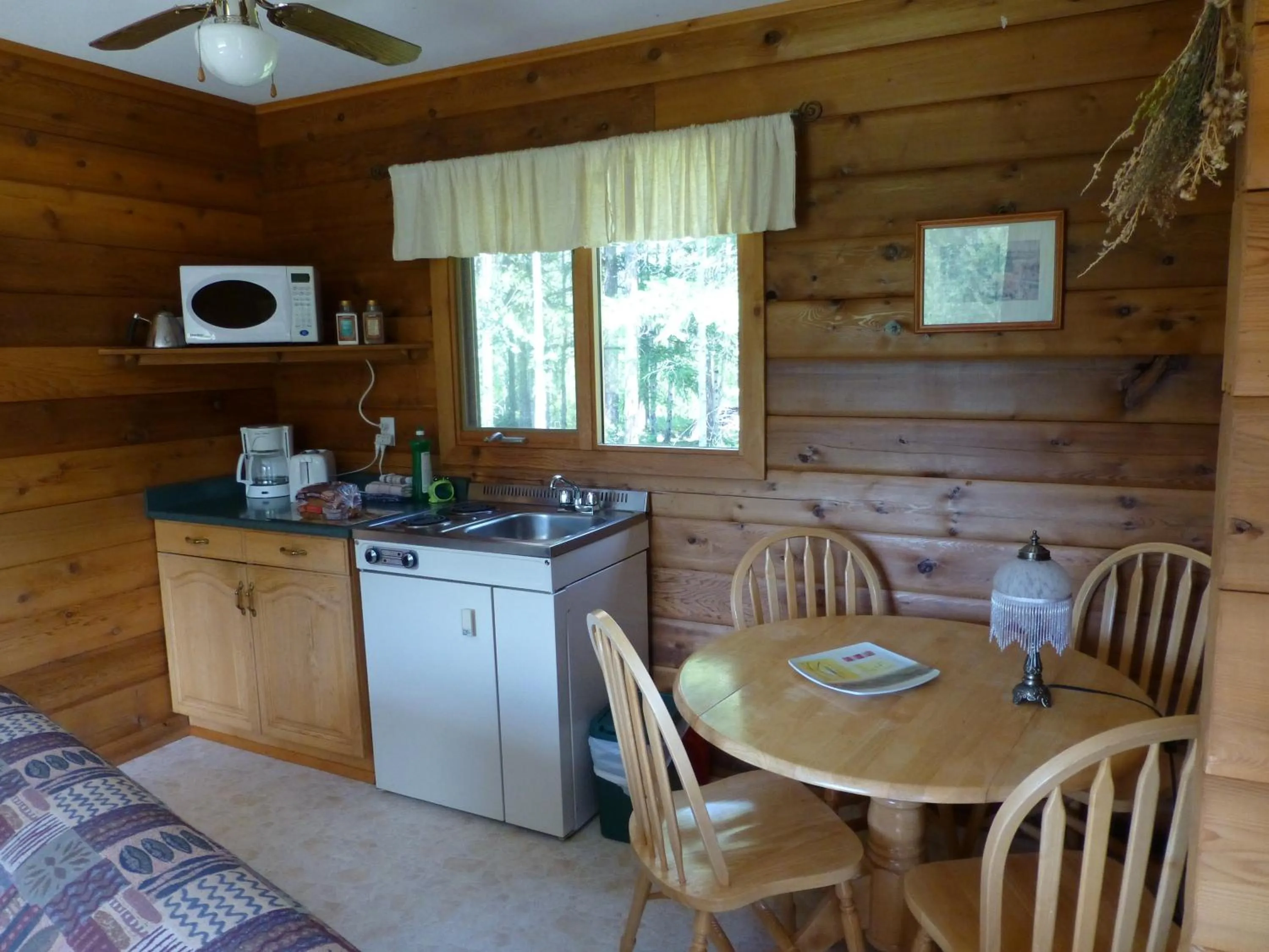 Kitchen or kitchenette in Mica Mountain Lodge & Log Cabins