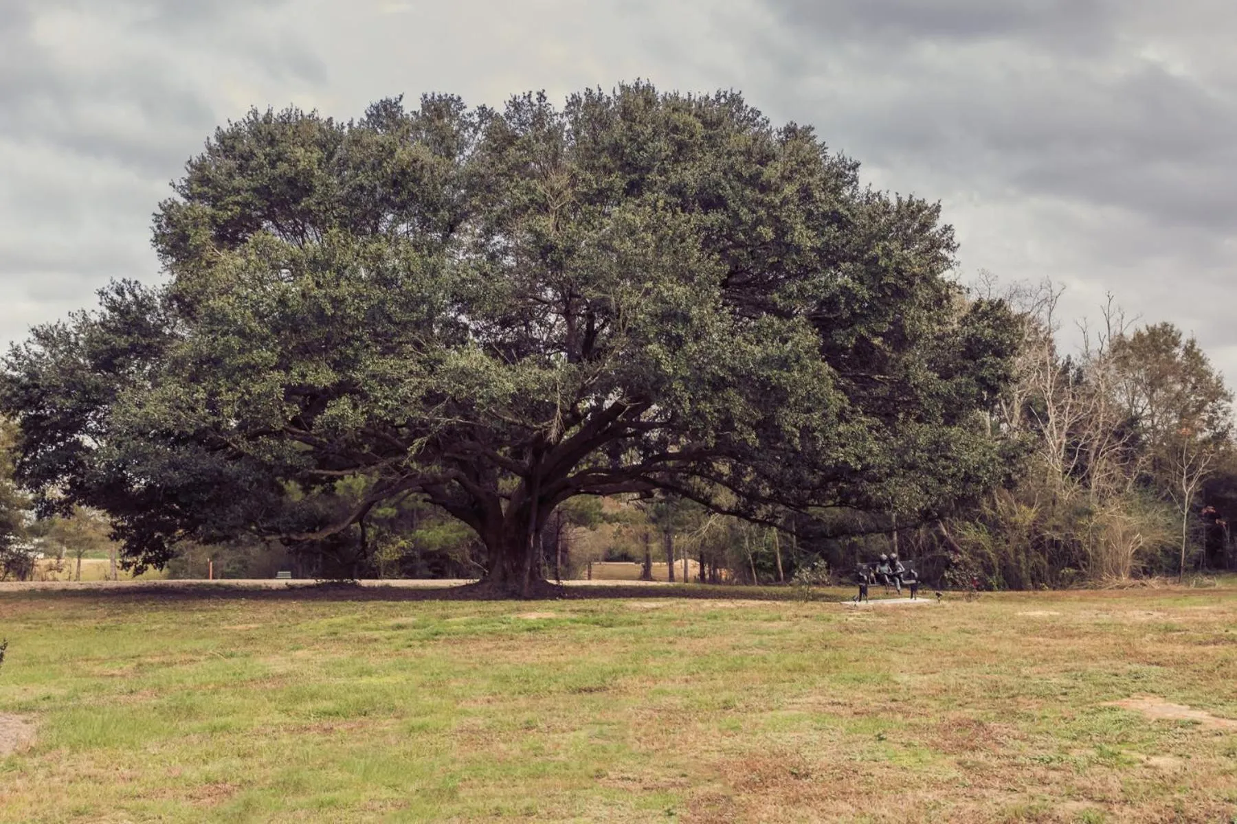 Natural landscape in Bienvenue Mon Ami Bed and Breakfast