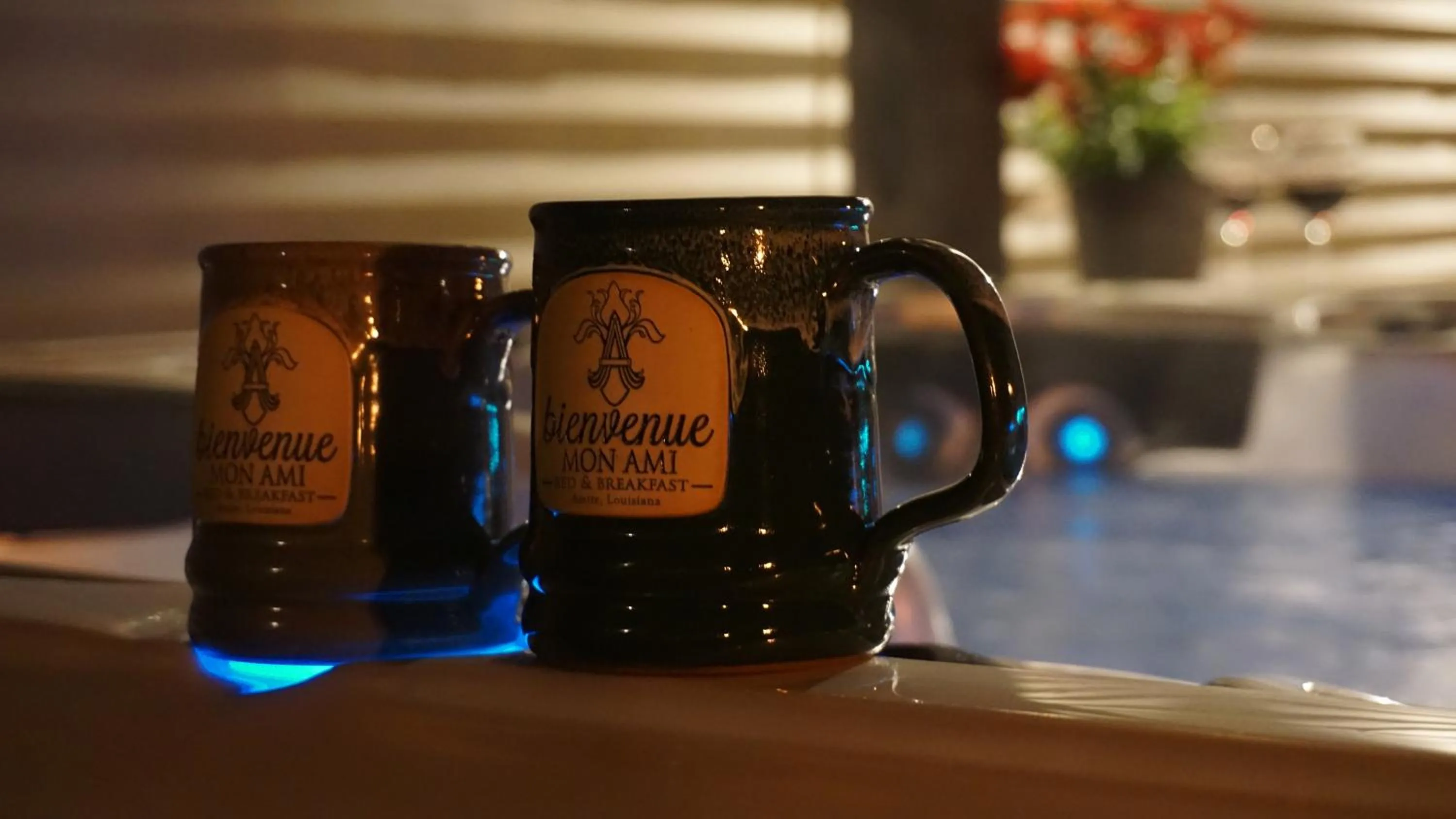 Hot Tub in Bienvenue Mon Ami Bed and Breakfast