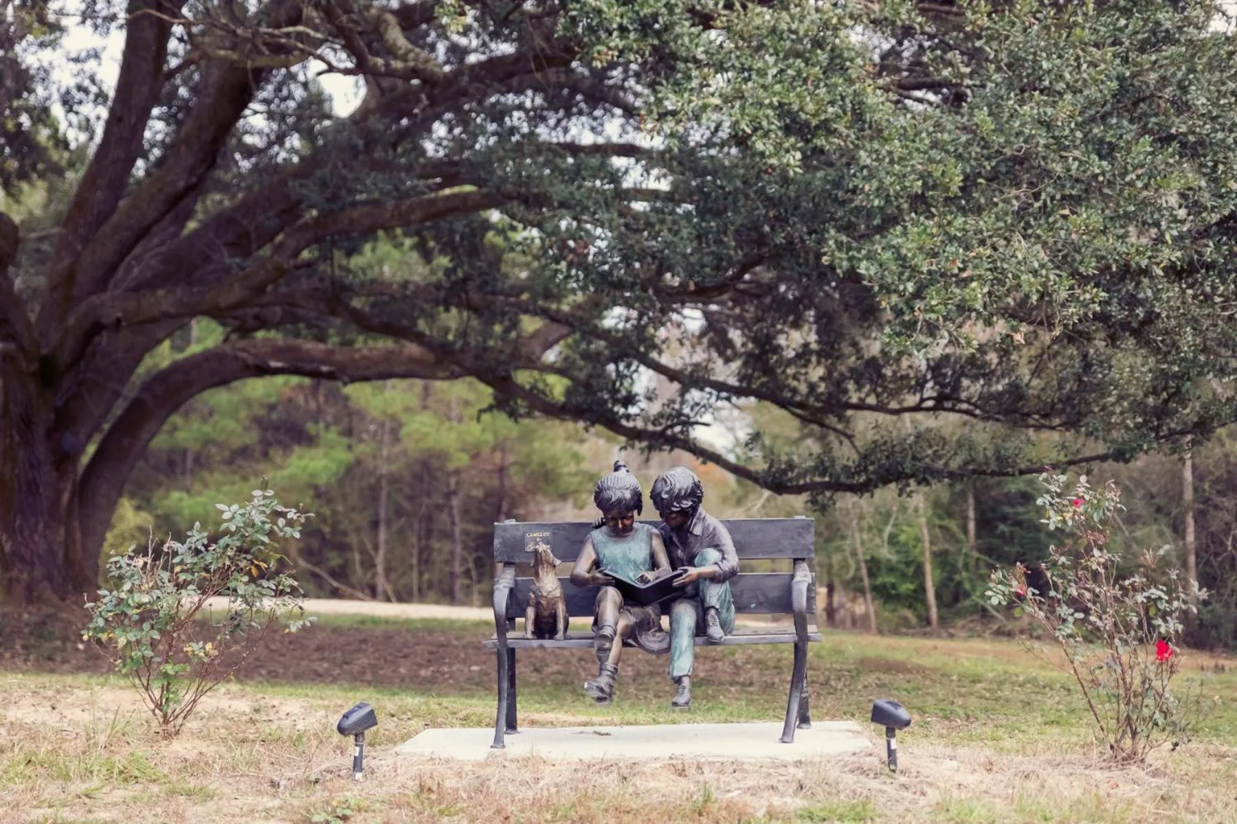 Garden in Bienvenue Mon Ami Bed and Breakfast