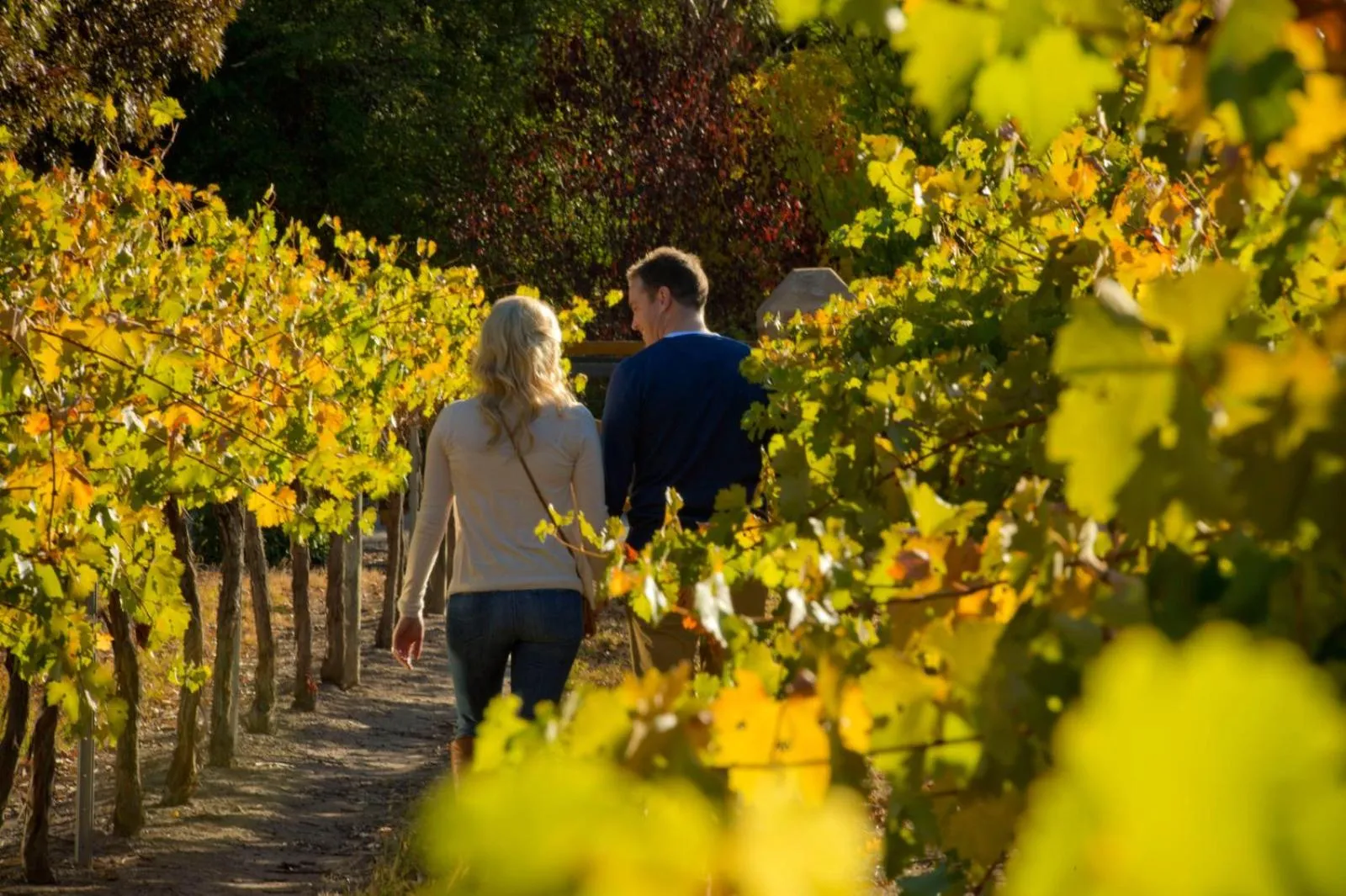 Restaurant/places to eat in Discovery Parks - Clare