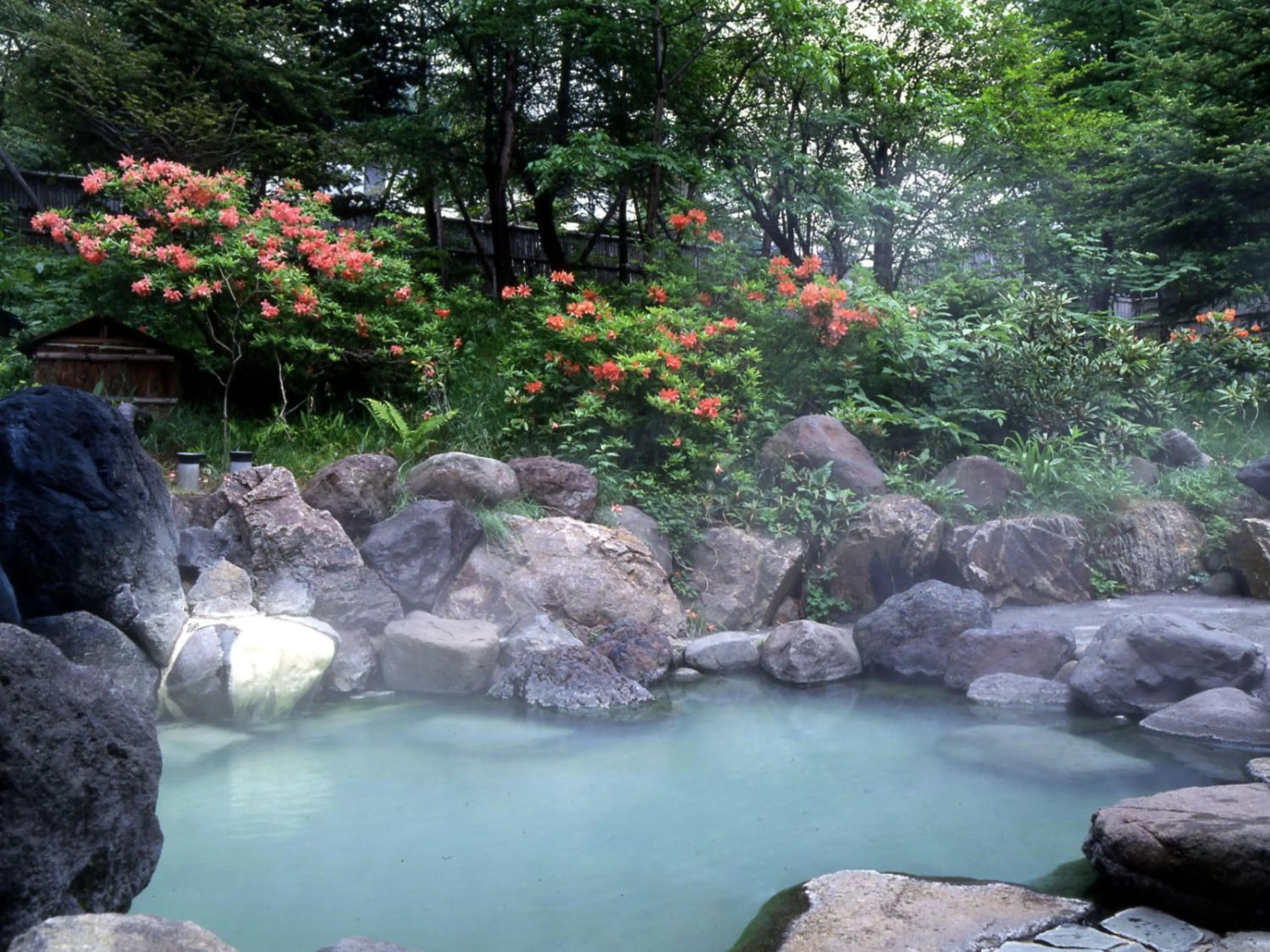 Natural landscape in Okunikko Konishi Hotel