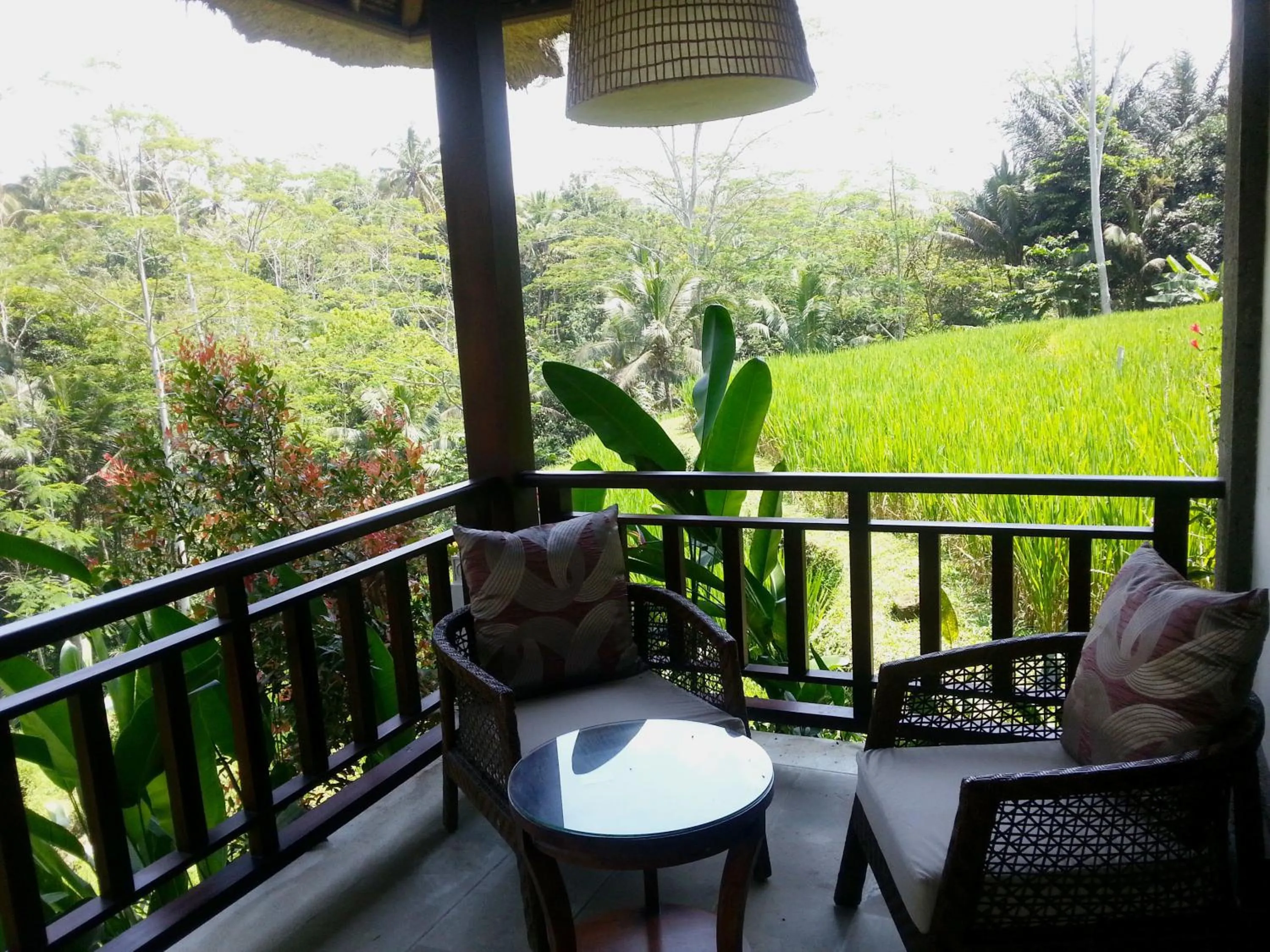 Balcony/Terrace in Villa Amrita