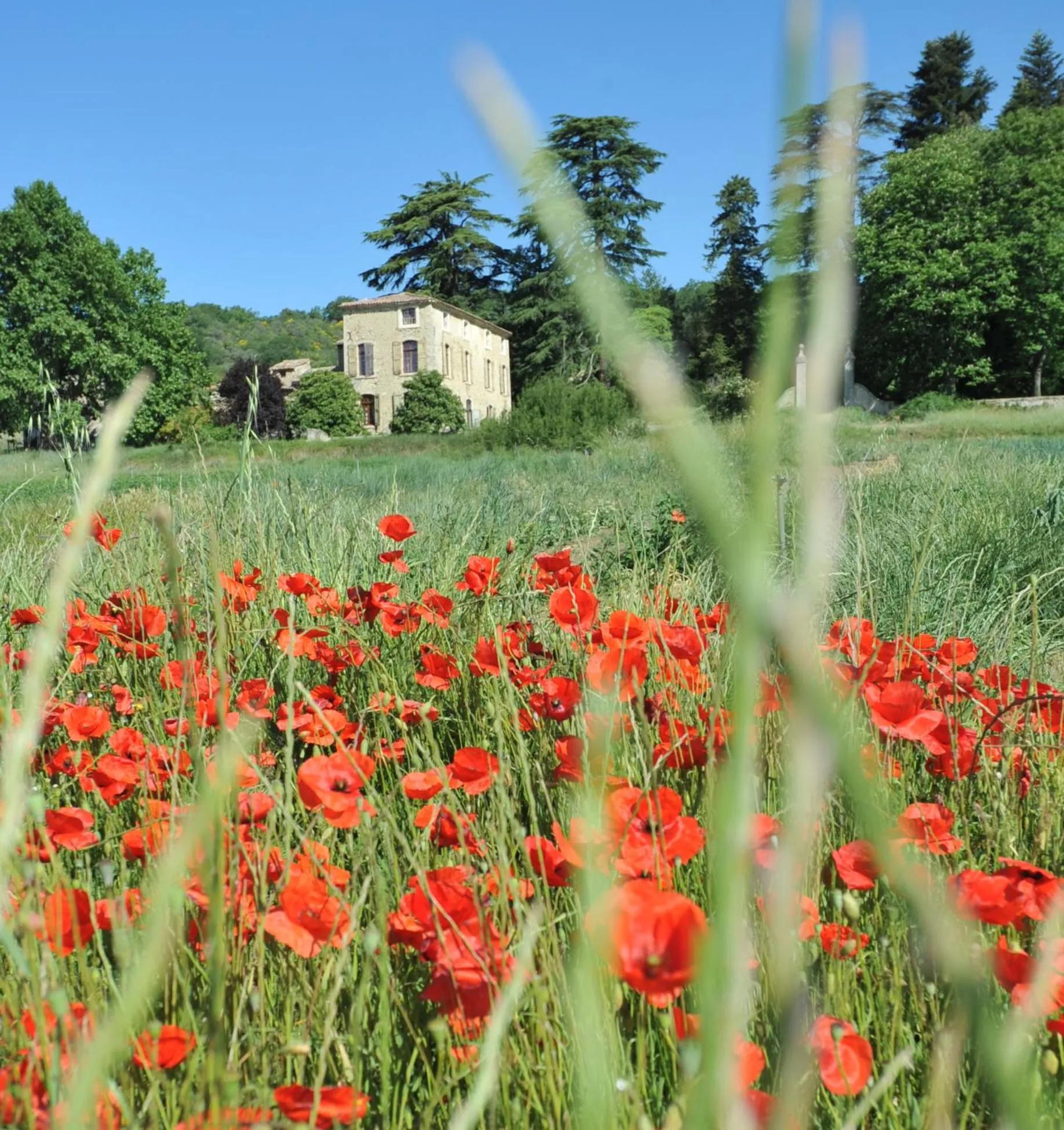 Property building in la bastide de l'adrech