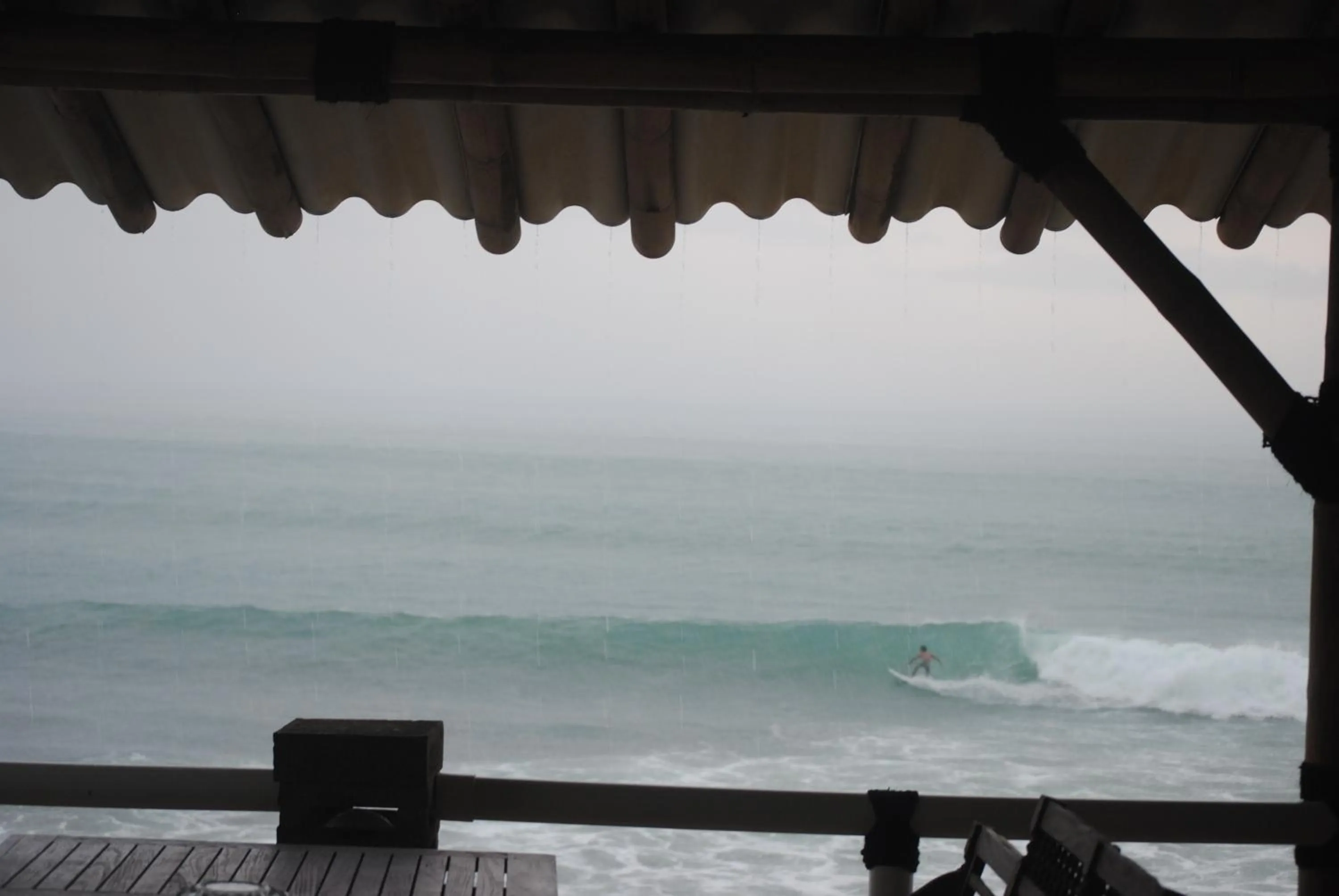 Area and facilities in 77 Sunset Plaza