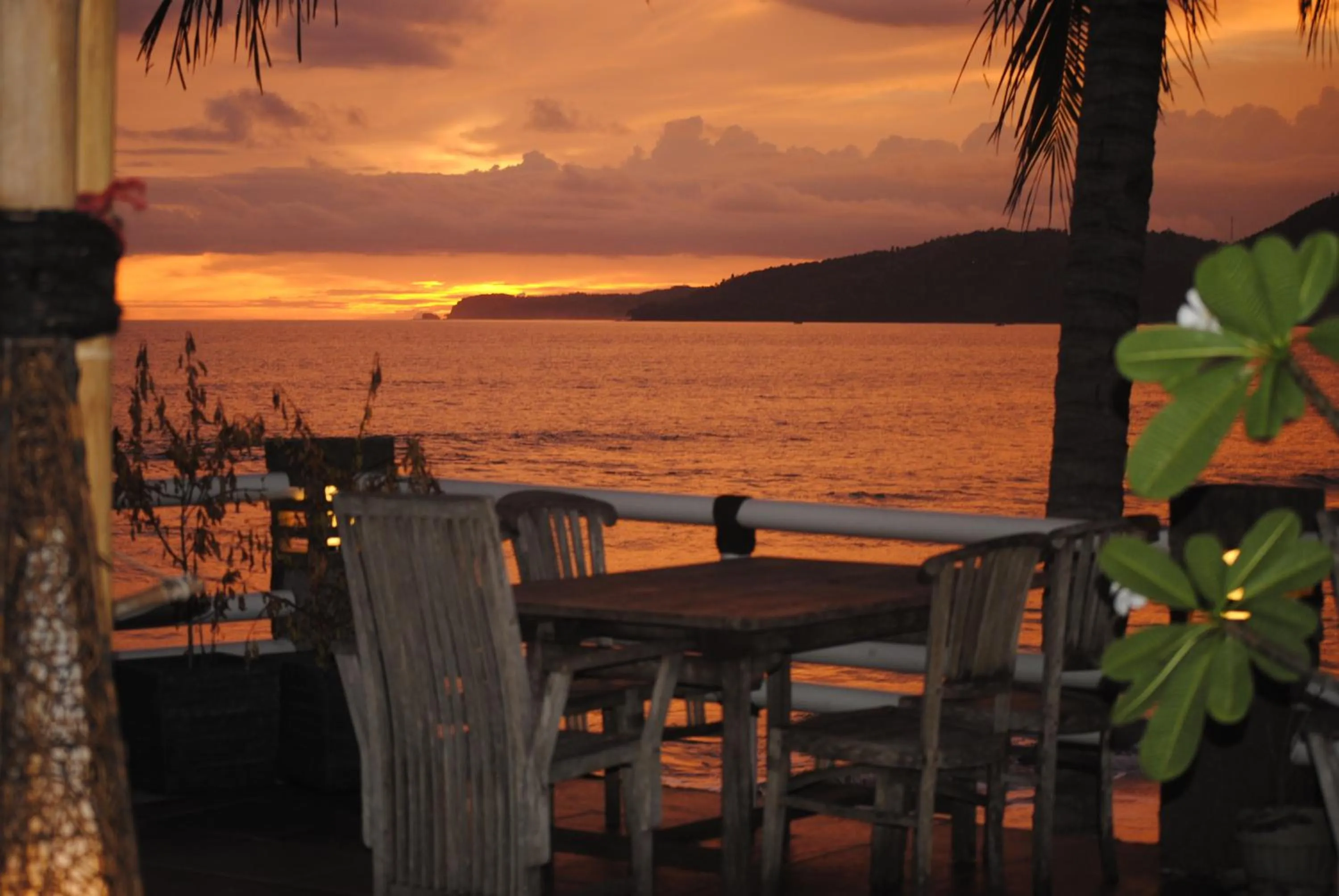 Restaurant/places to eat in 77 Sunset Plaza