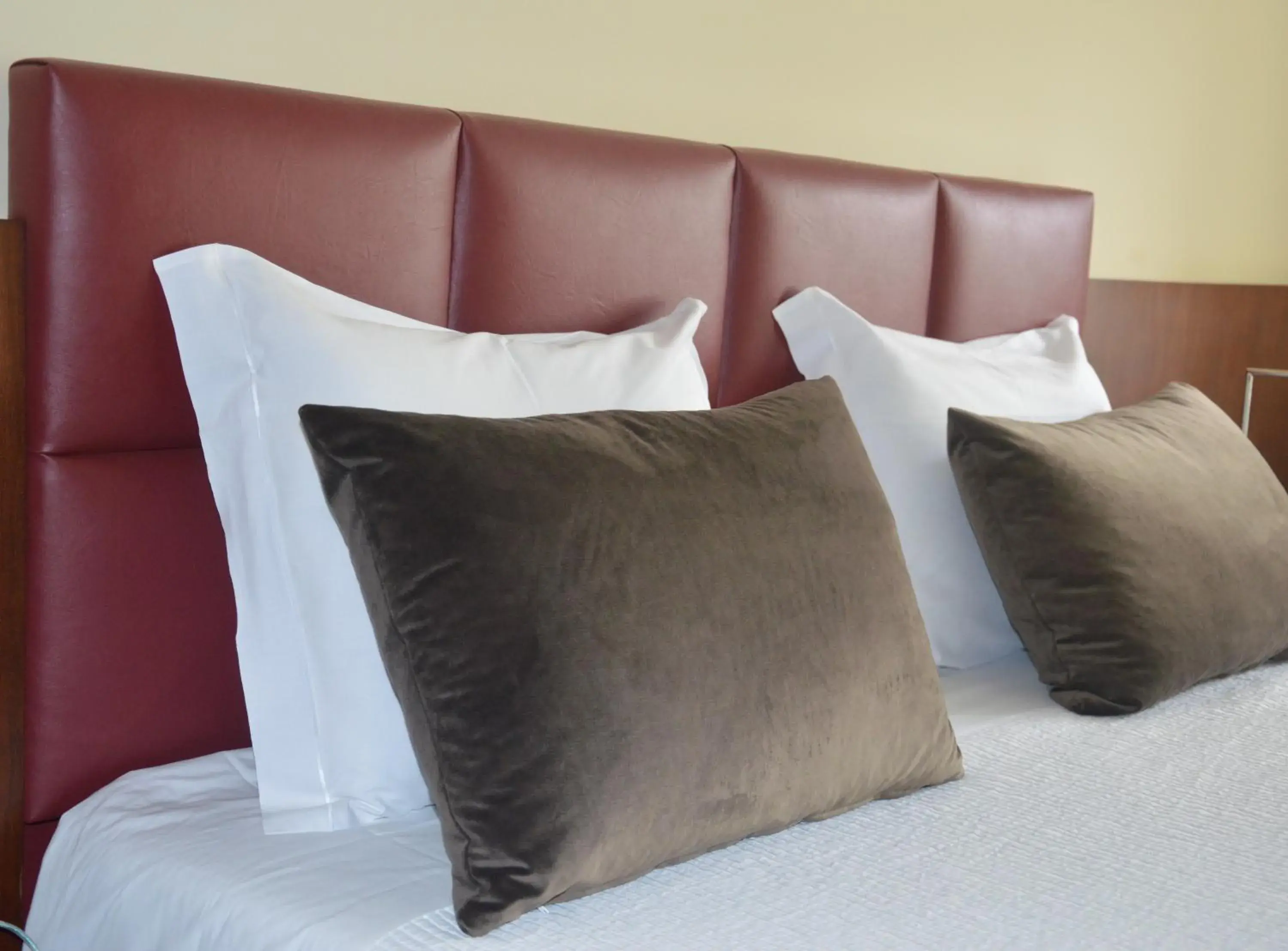 Double Room in Santana Hotel & SPA Double Room in Santana Hotel & SPA