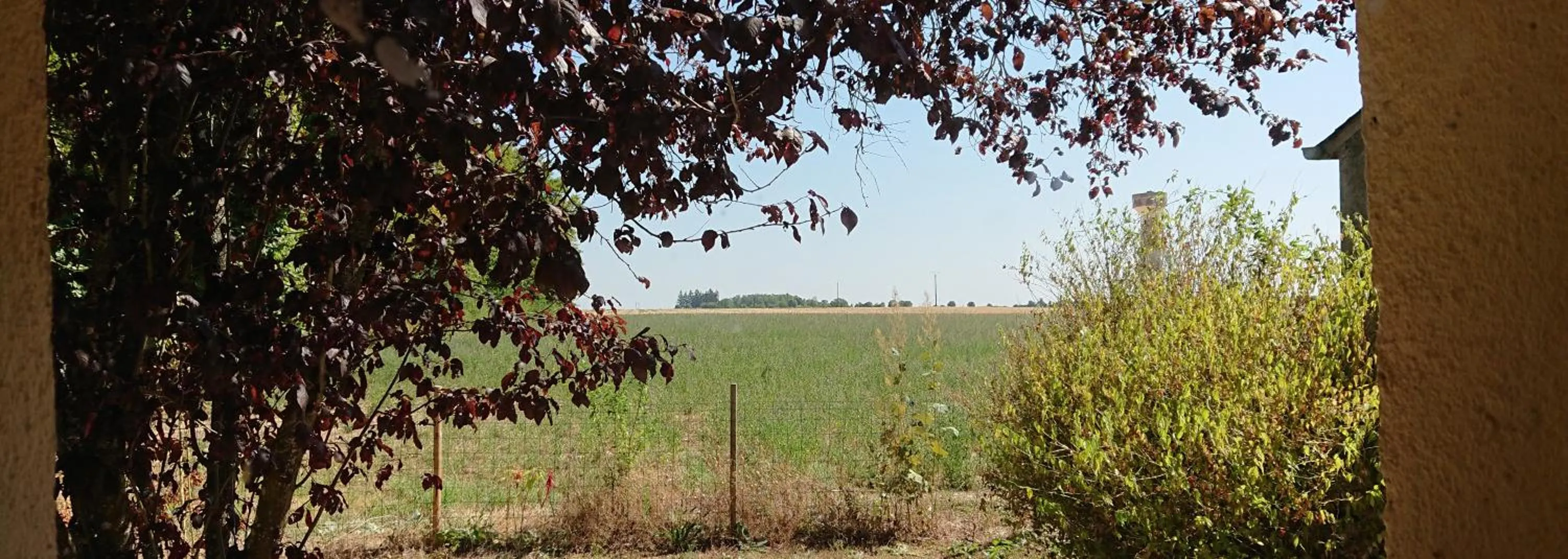 Natural landscape in domaine d'en Haut