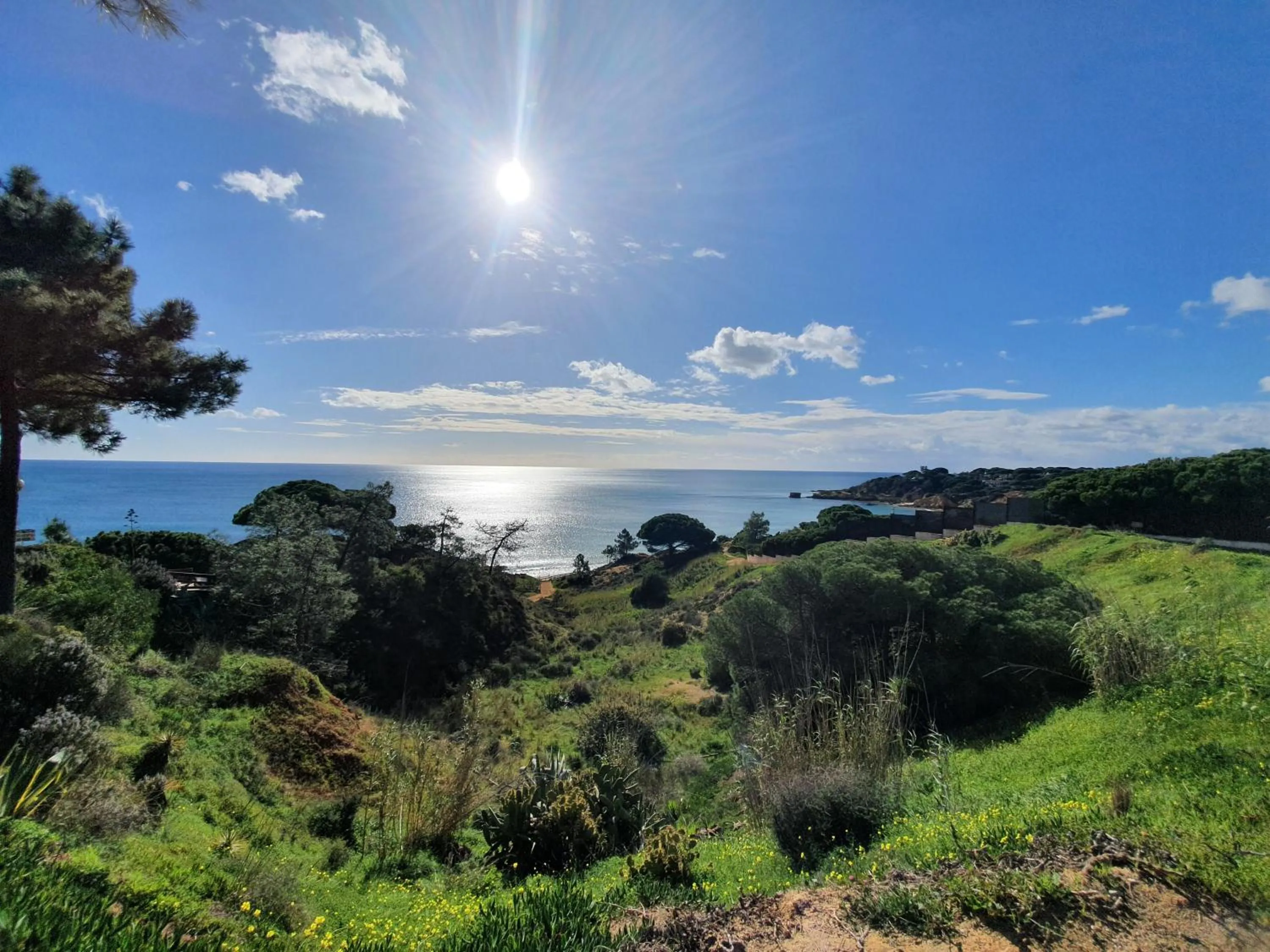 Location in Quinta Pedra Dos Bicos