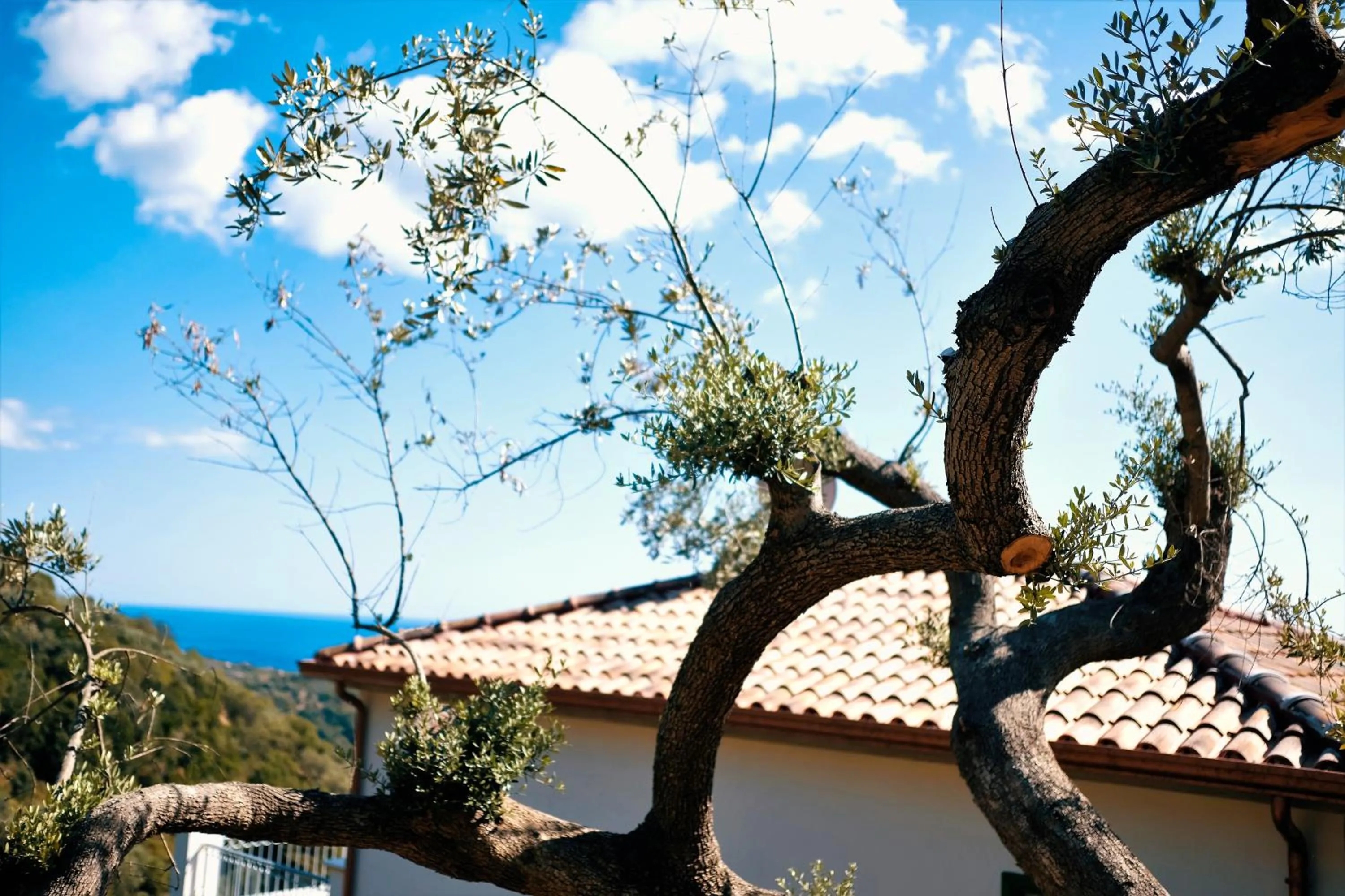 Property building in Country House “ Il Mandorlo”