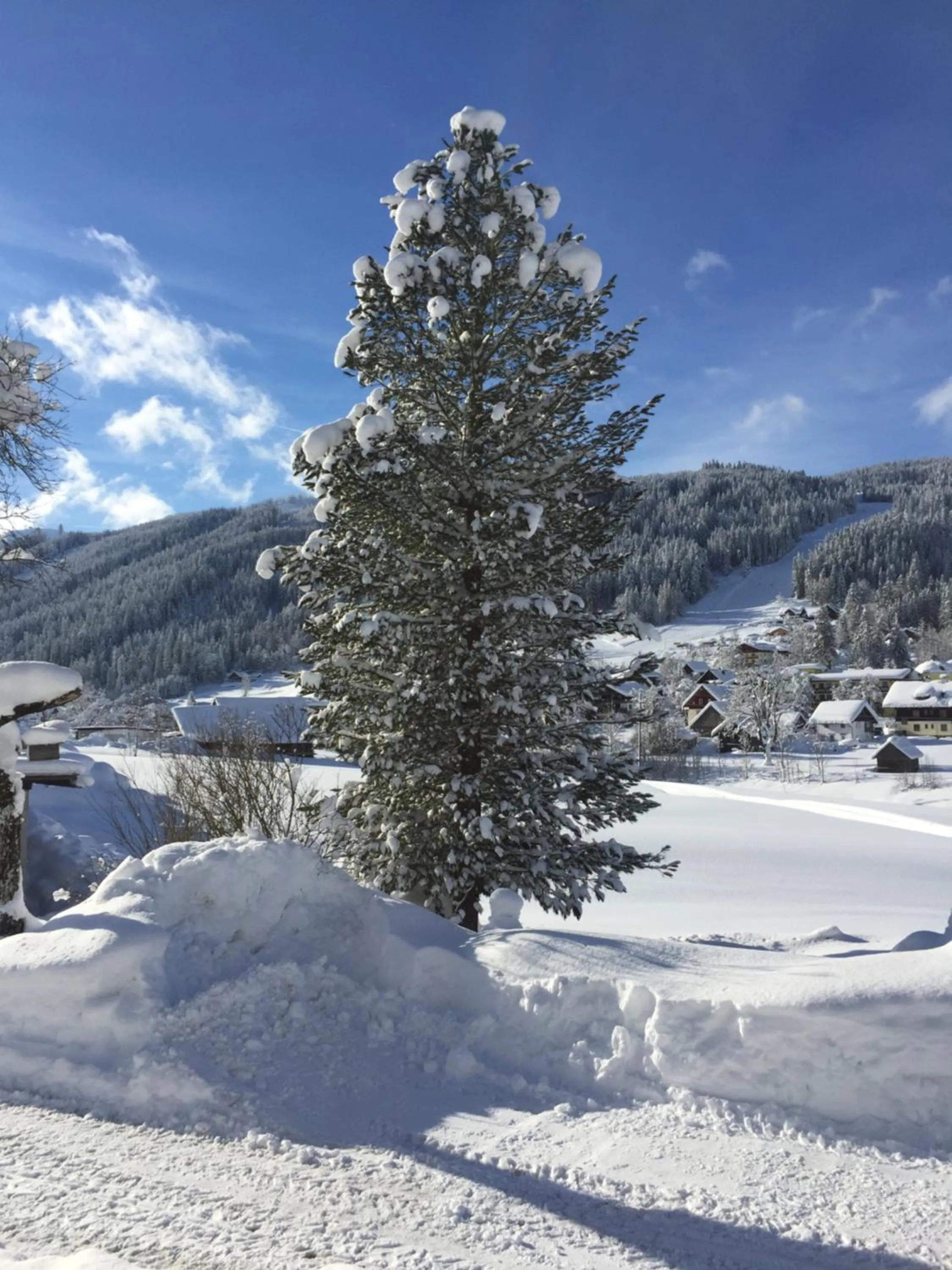 Natural landscape in Schmiedsipplhof