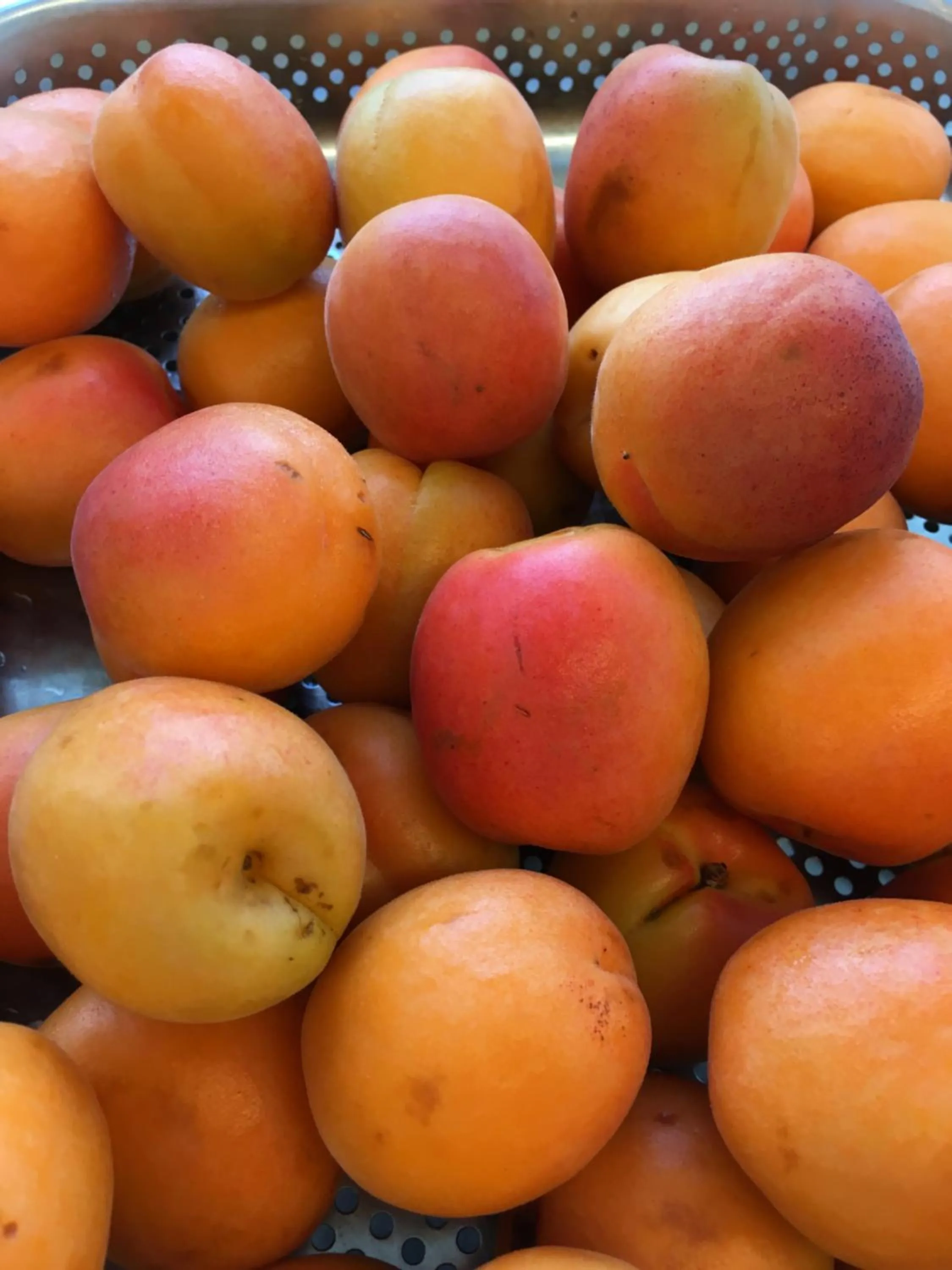 Meals in Hotel Restaurant Chesa