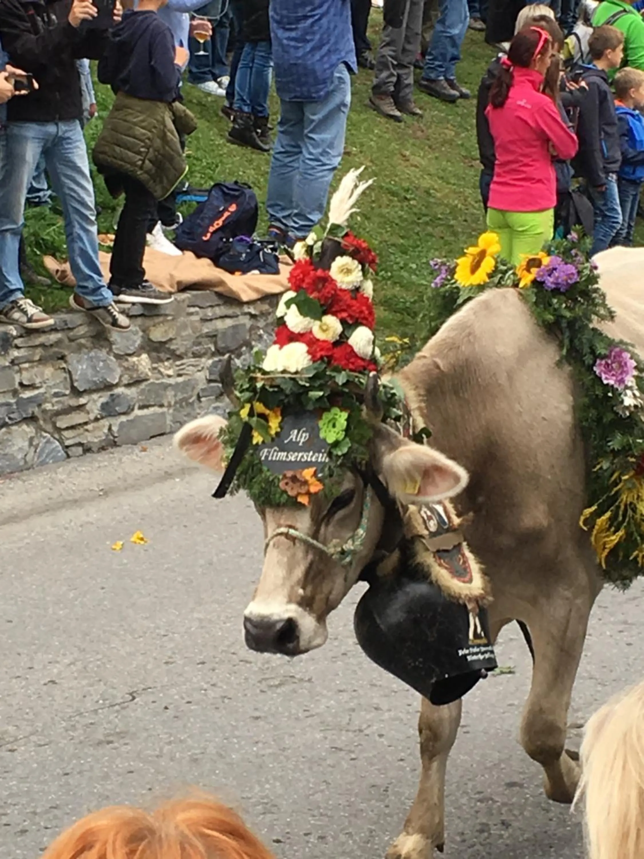 Animals in Hotel Restaurant Chesa