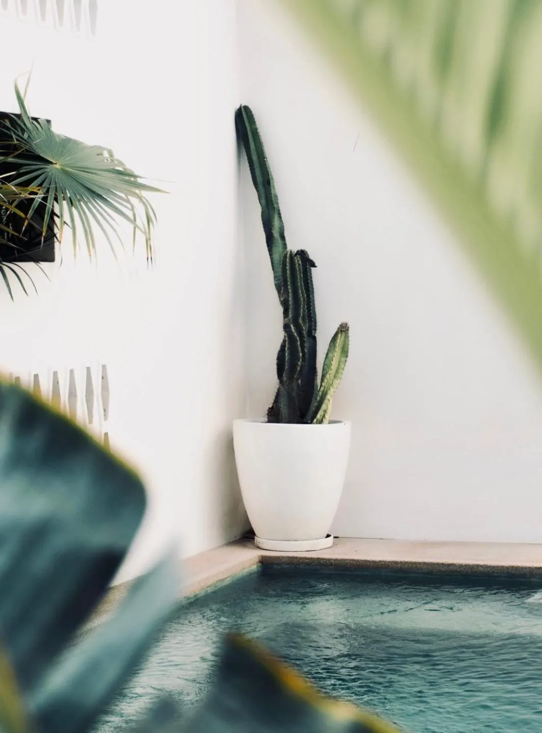 Swimming pool in Residencia Tropical Don Bonito