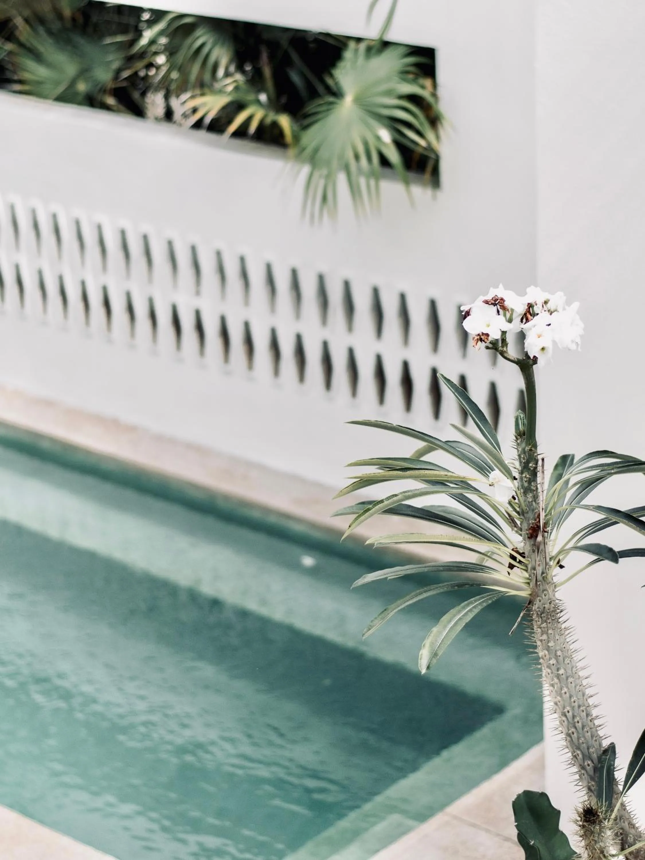 Swimming pool in Residencia Tropical Don Bonito