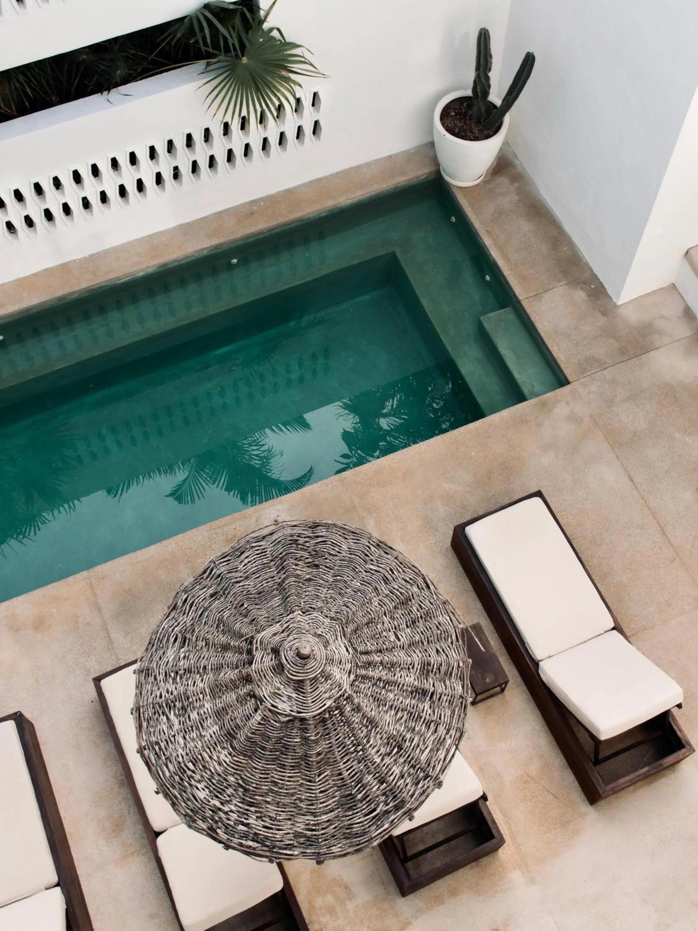 Pool view in Residencia Tropical Don Bonito