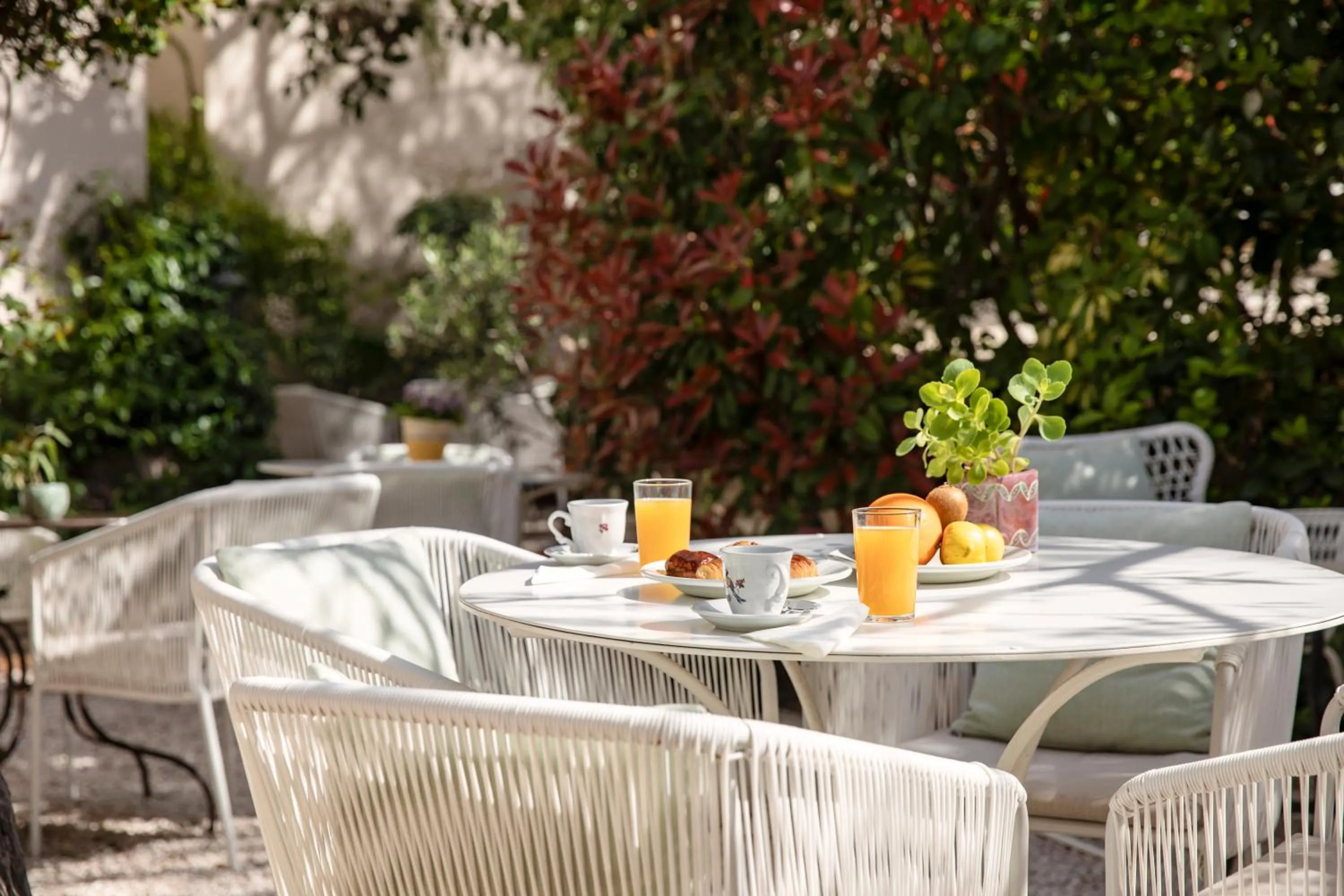 Garden in Hotel La Bienvenue