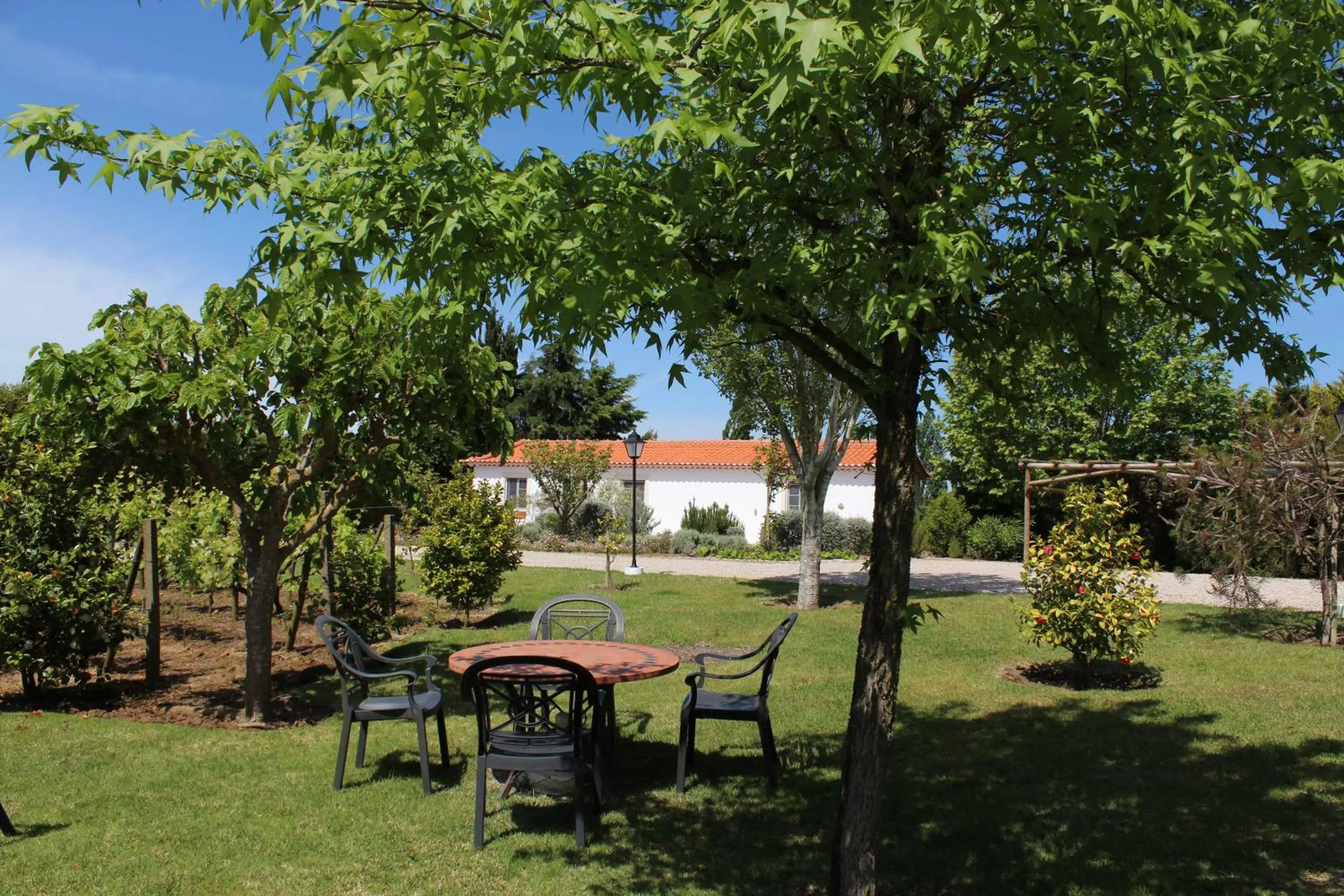 Garden in Casa de Campo Sao Rafael - Turismo Rural
