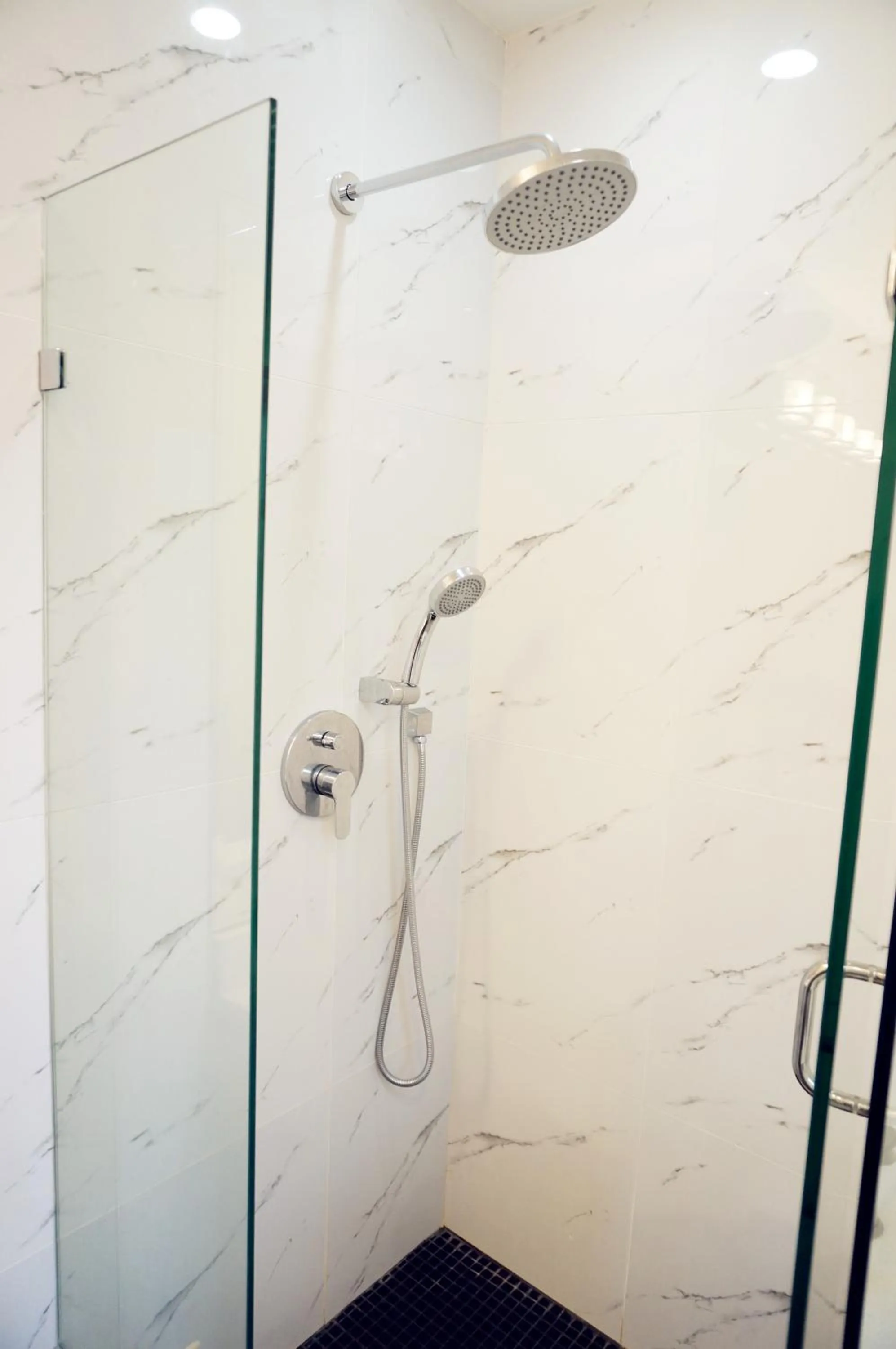 Shower in Vancouver Bed & Breakfast