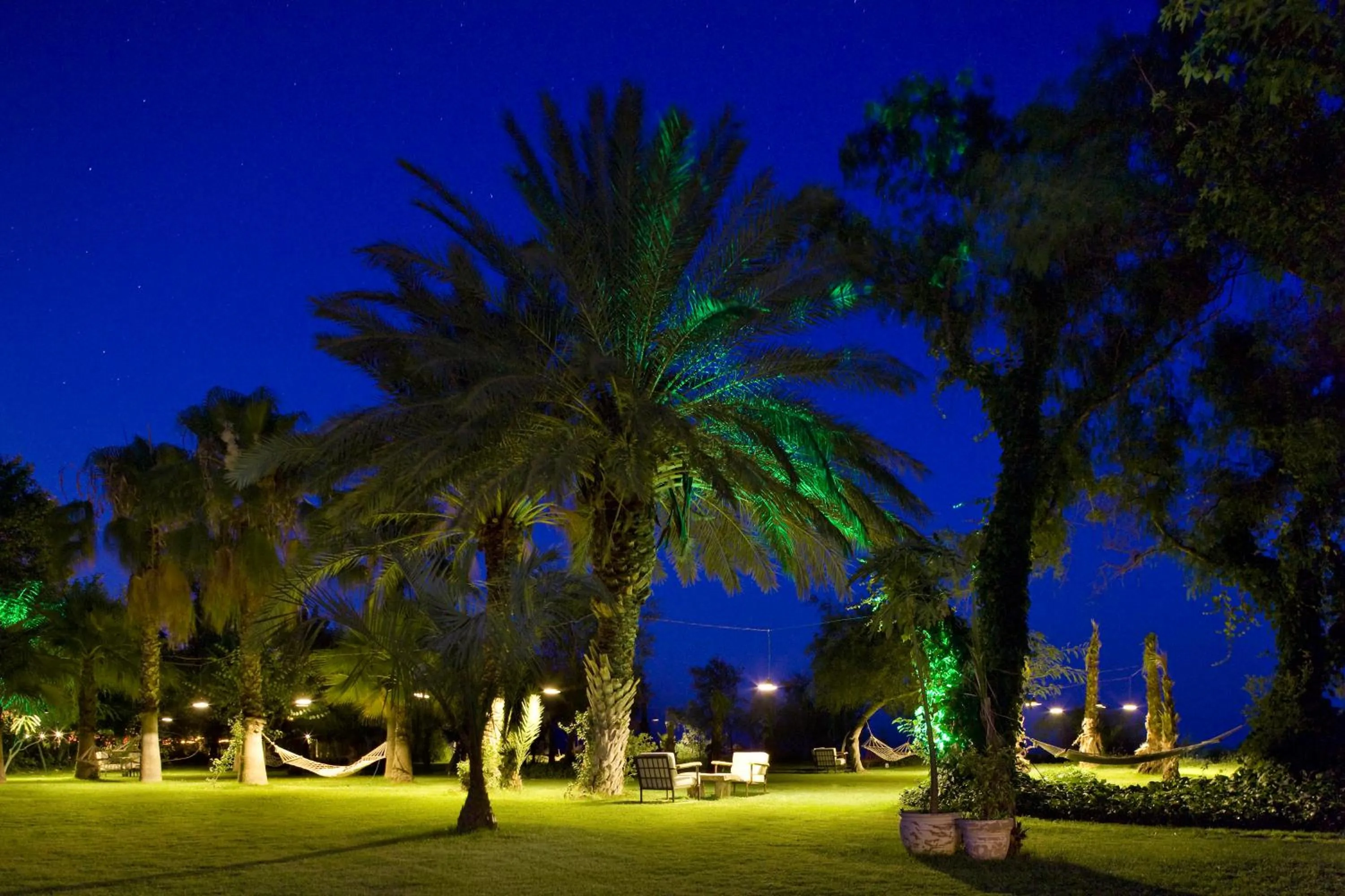 Garden in Olympos Lodge
