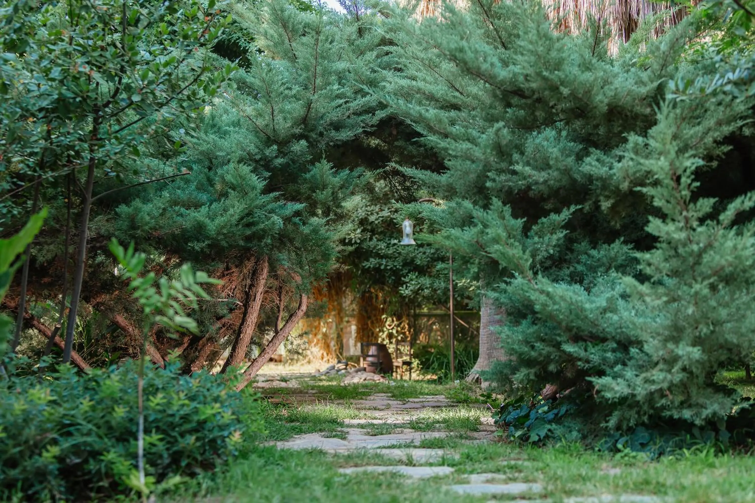 Natural landscape in Olympos Lodge