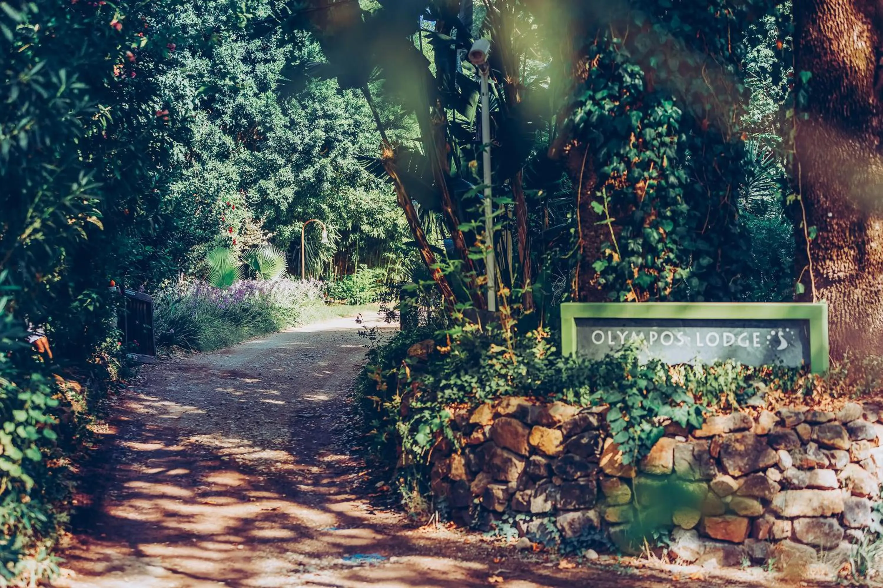 Other in Olympos Lodge