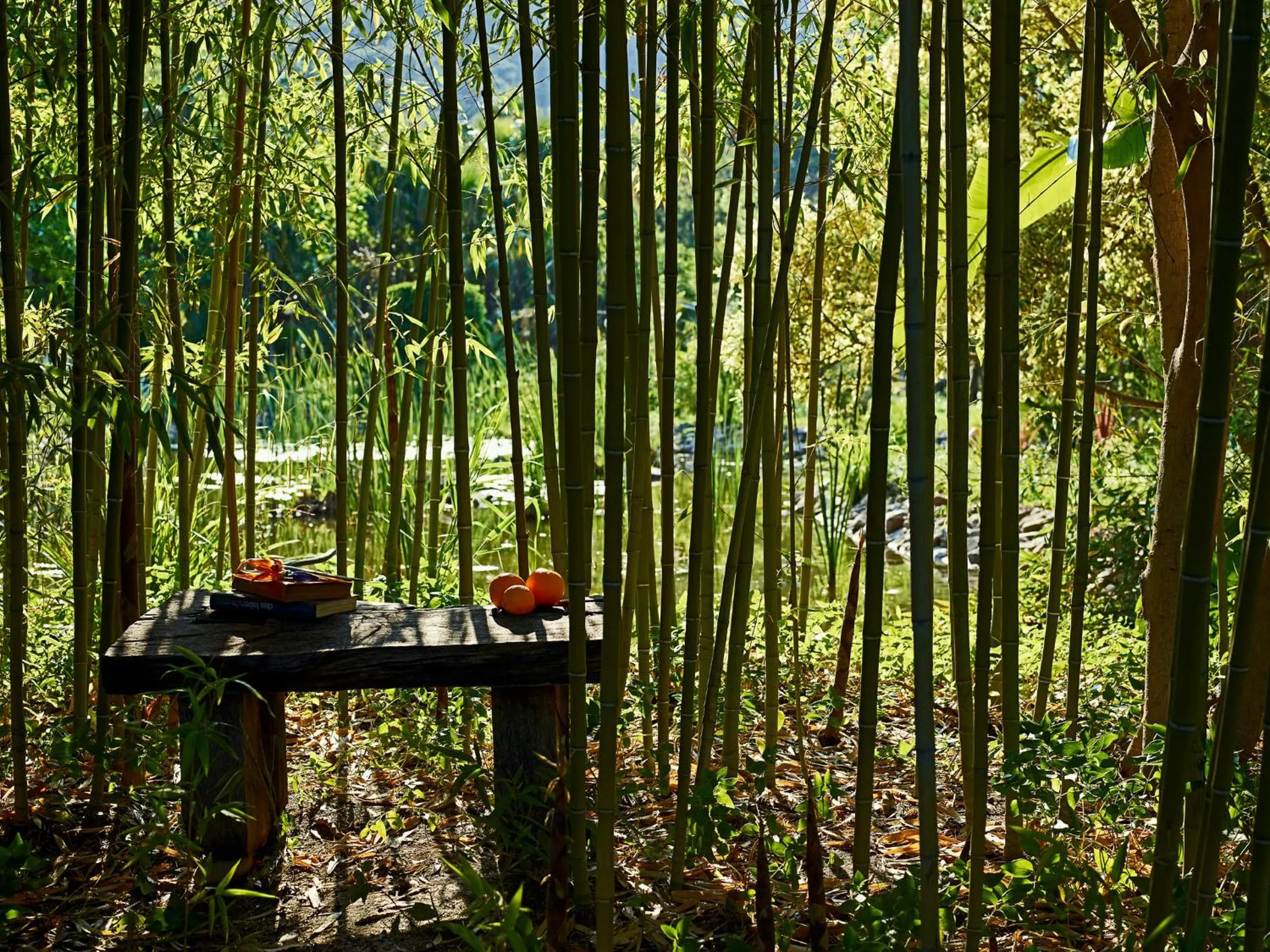 Garden in Olympos Lodge