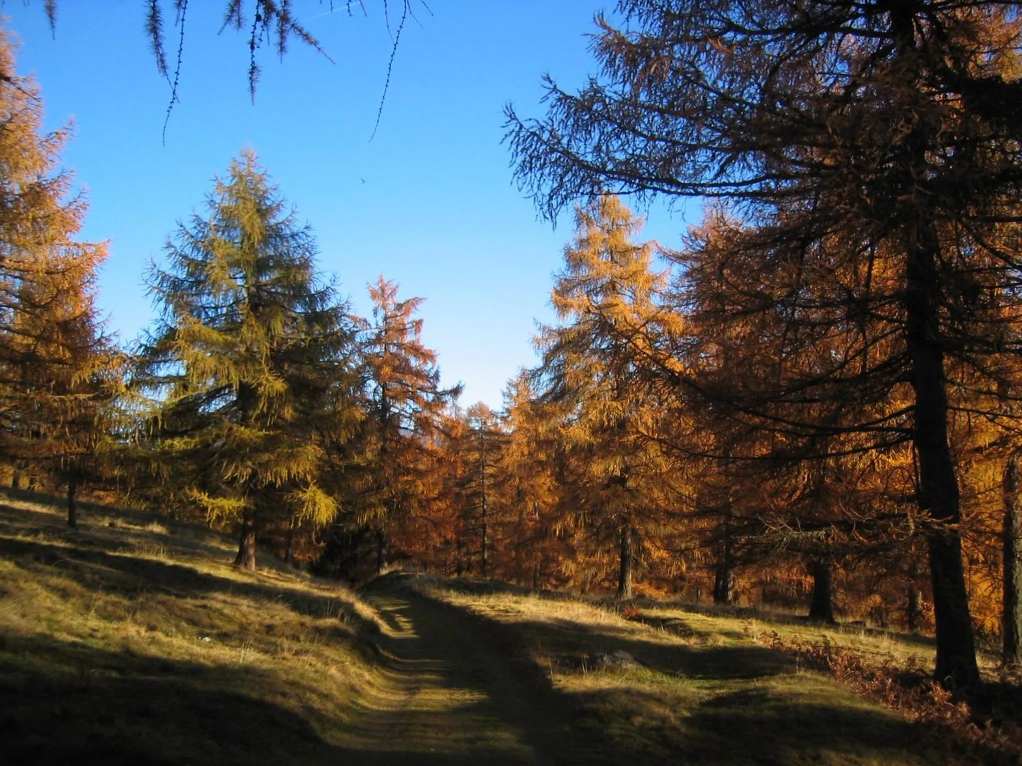 Natural landscape in Parkhotel Post