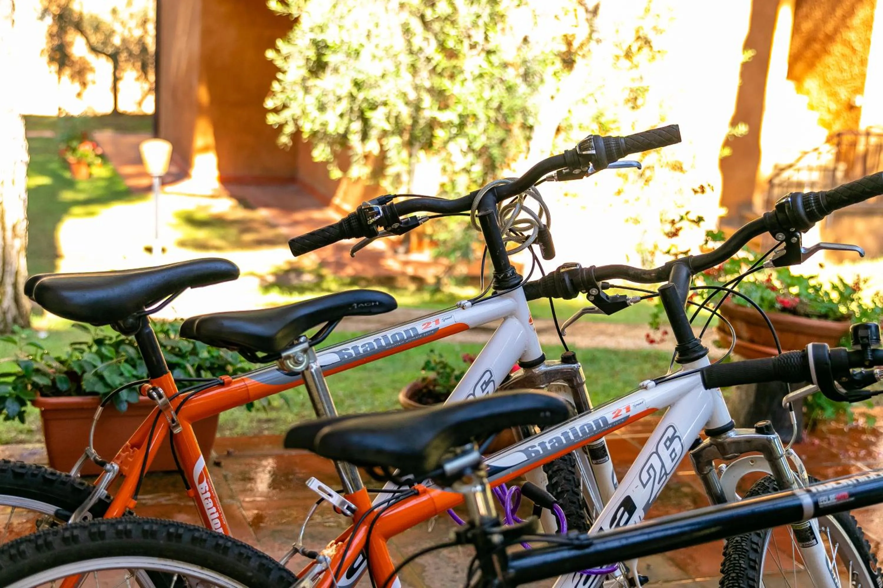 Activities in Residence Ristorante Il Paradiso