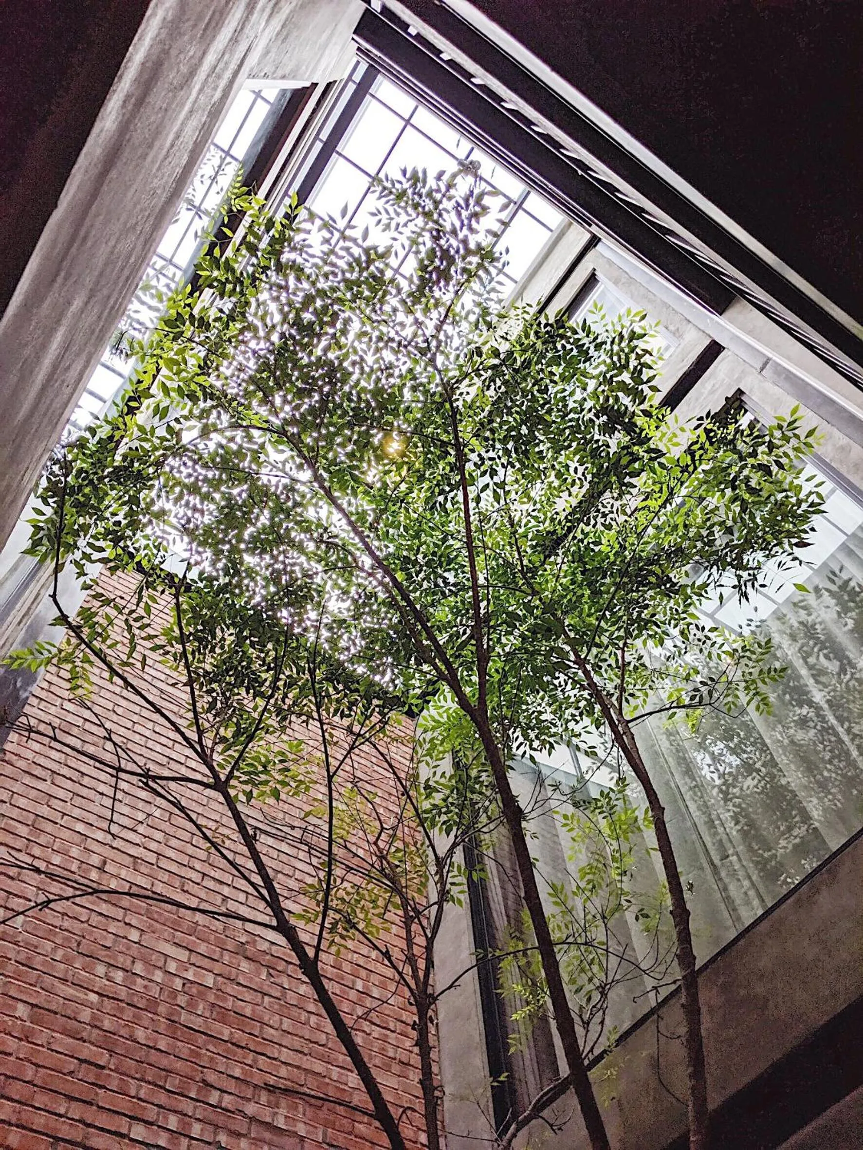 Garden view in The Gatsby Apartment