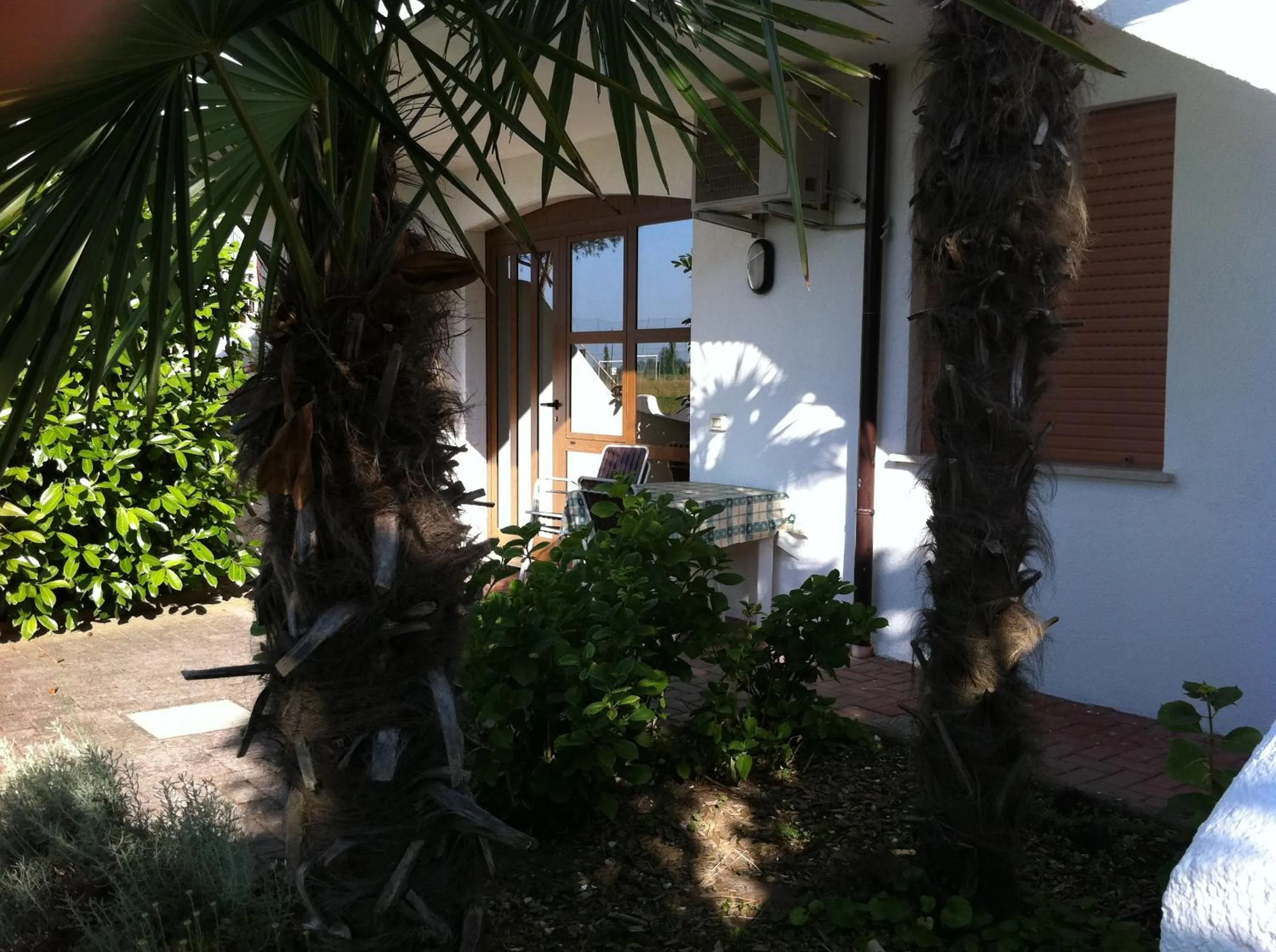 Garden in Hotel Berna