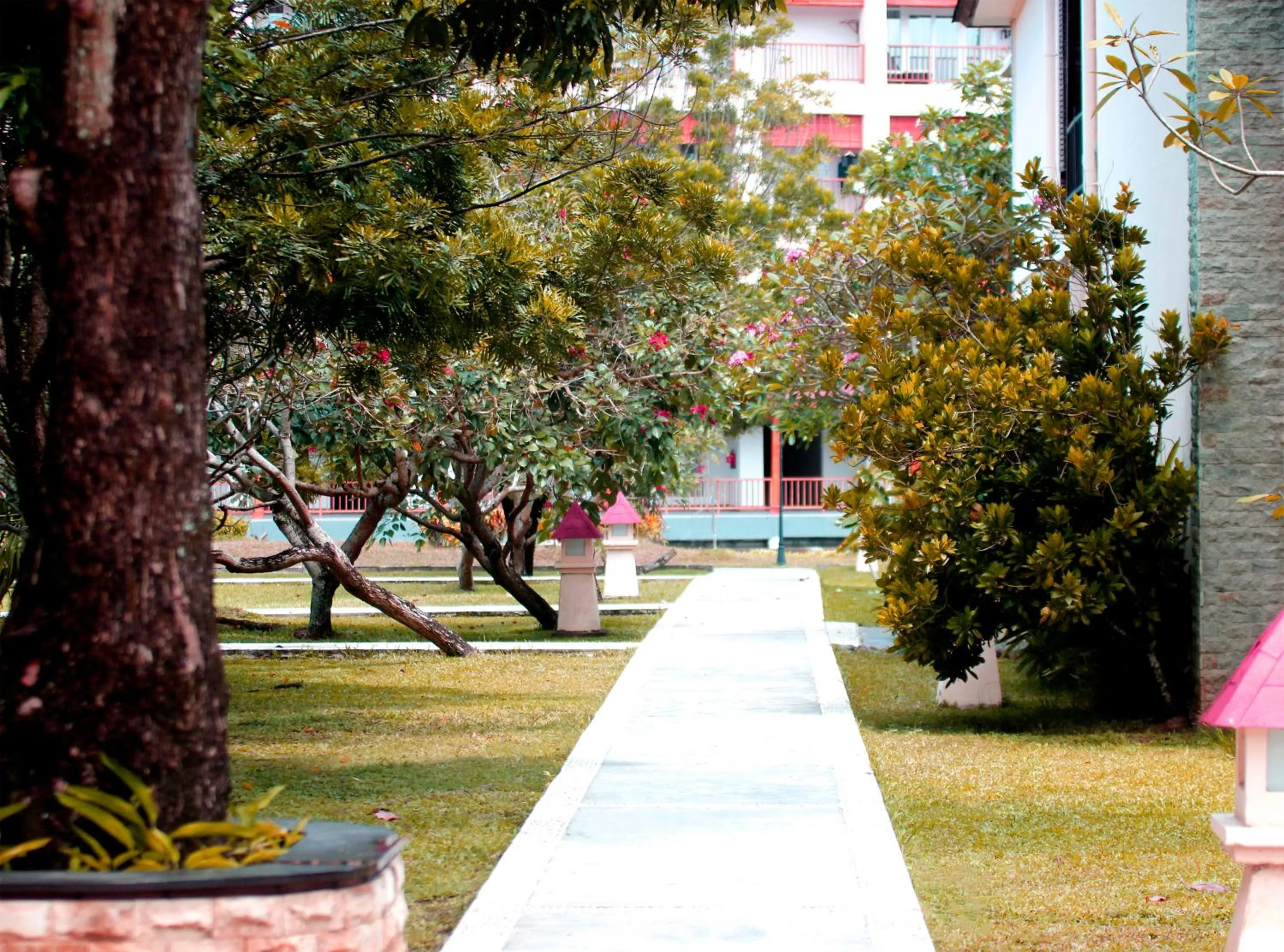 Natural landscape in NDC Resort & Spa